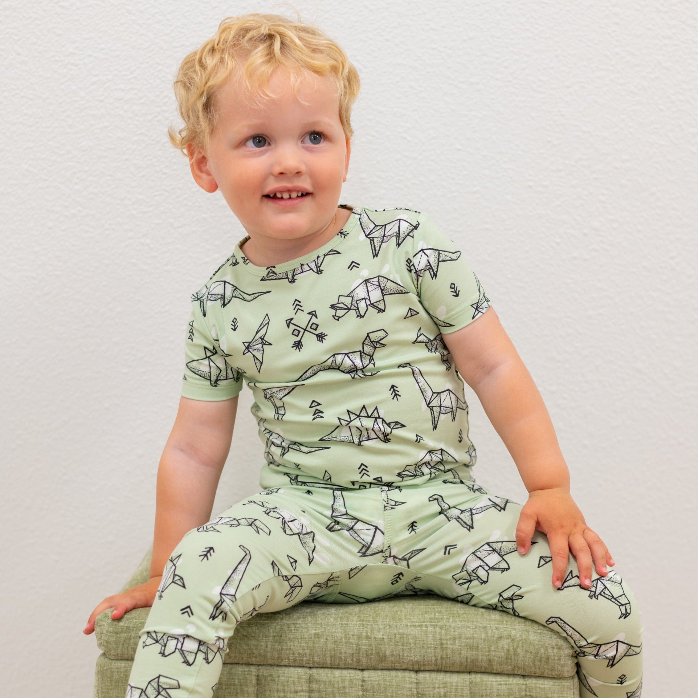 Big Kid Pajama S/s - Origami Dino