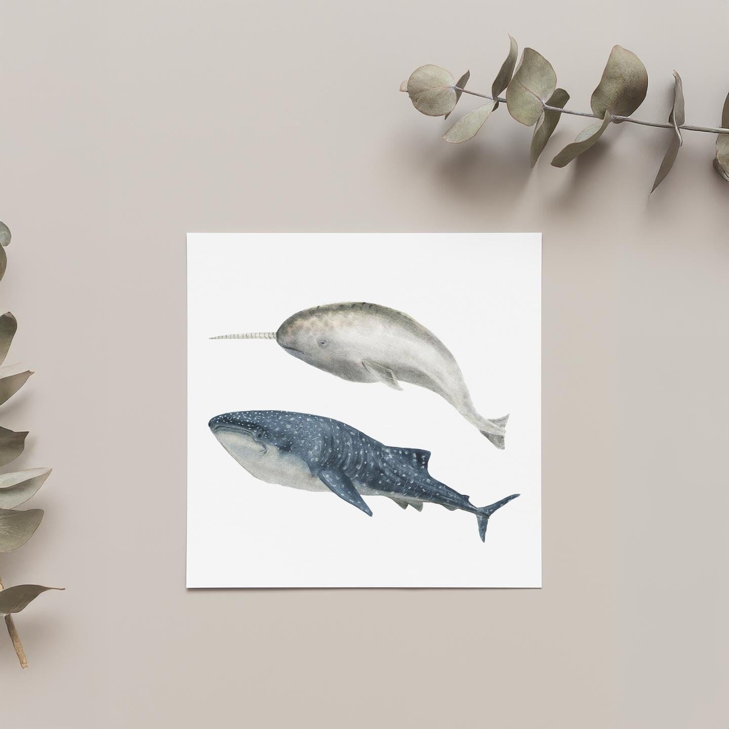 Big Whale Wall Decals