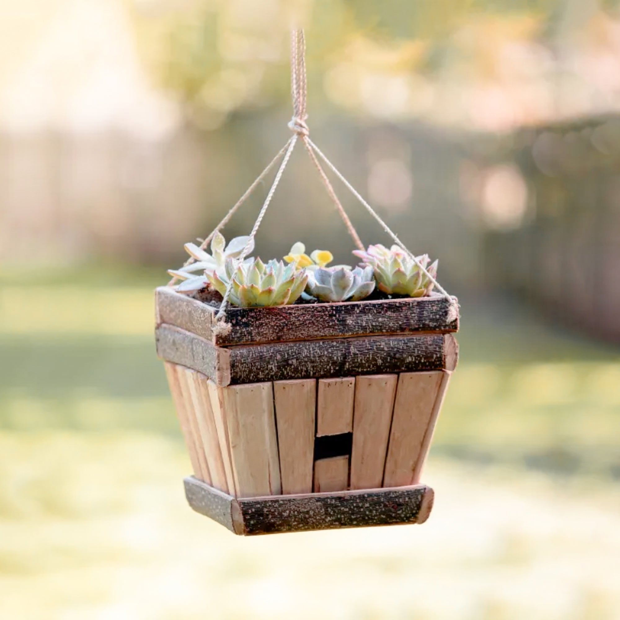 Trapezoid Planter-birdhouse - Rustic Decor | Likhâ