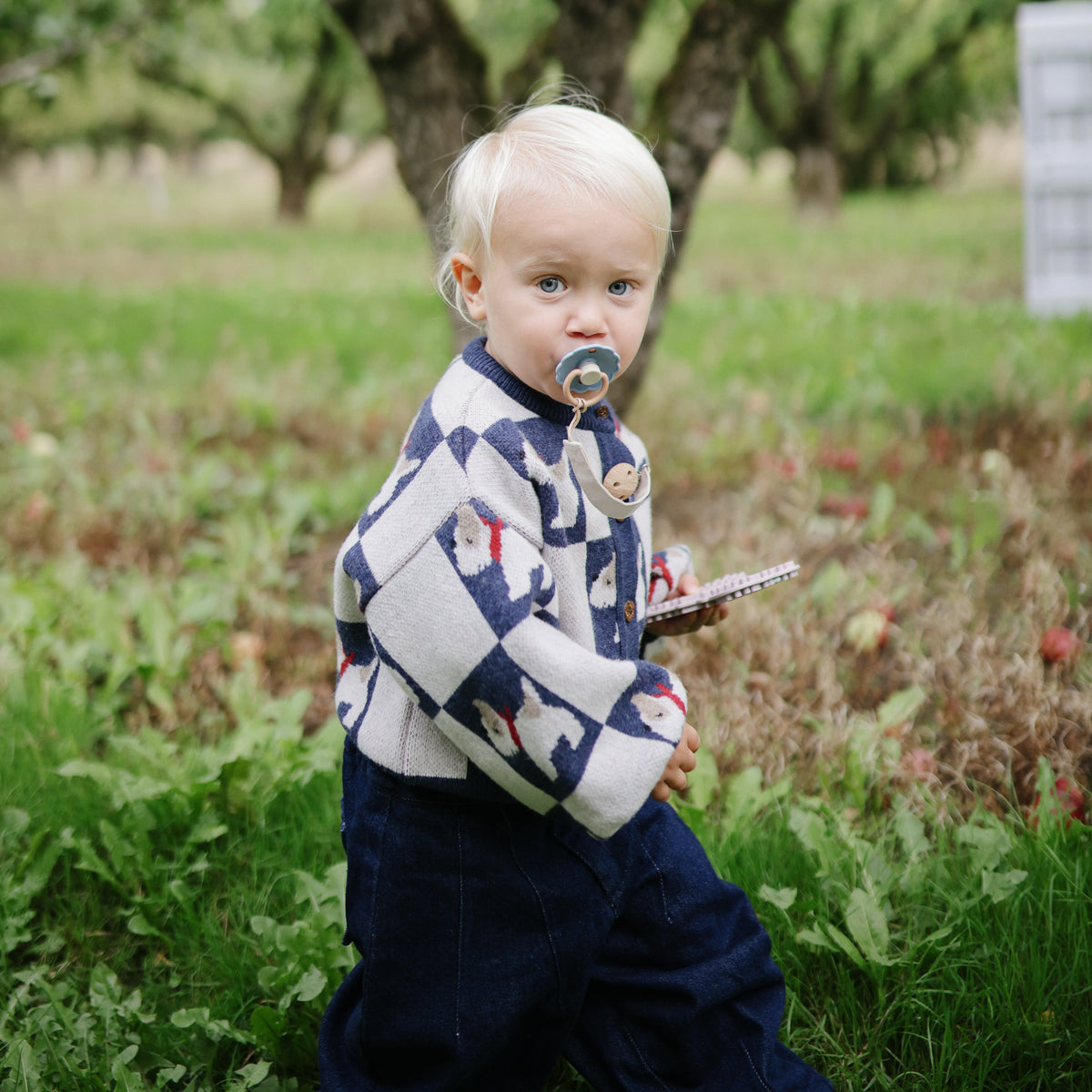 Linen Pacifier Clip 2-pack