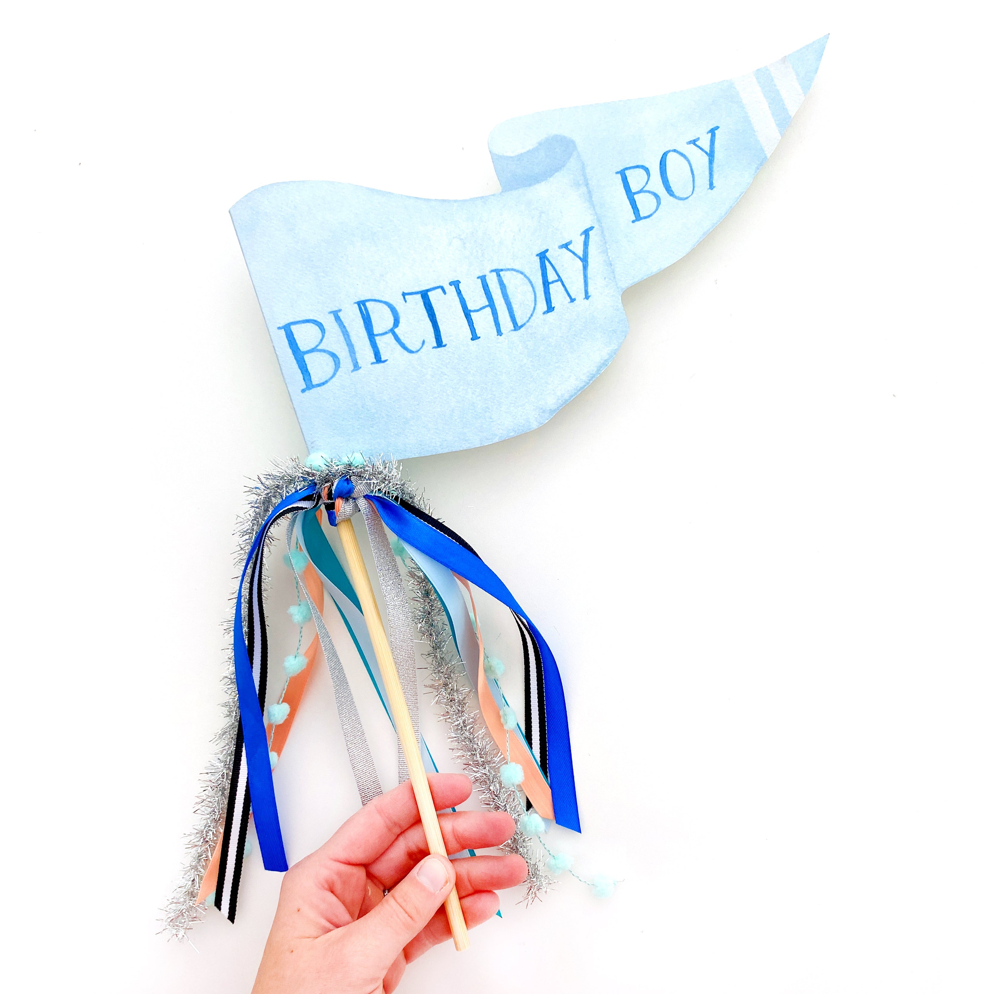 Birthday Boy Party Pennant