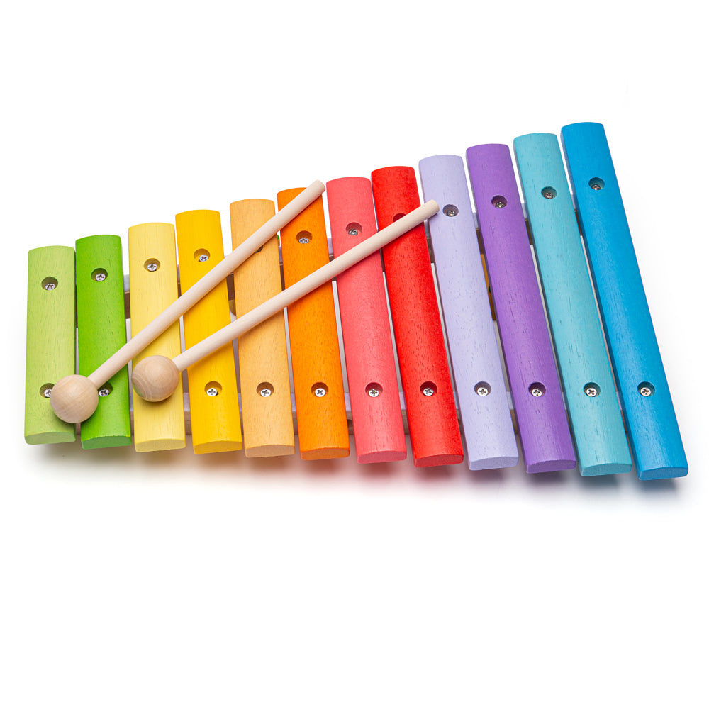 Snazzy Xylophone By Bigjigs Toys Us