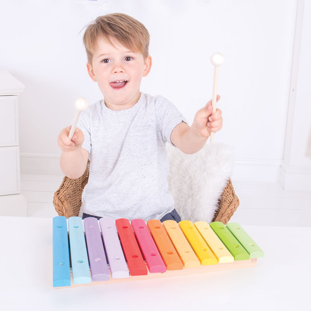 Snazzy Xylophone By Bigjigs Toys Us