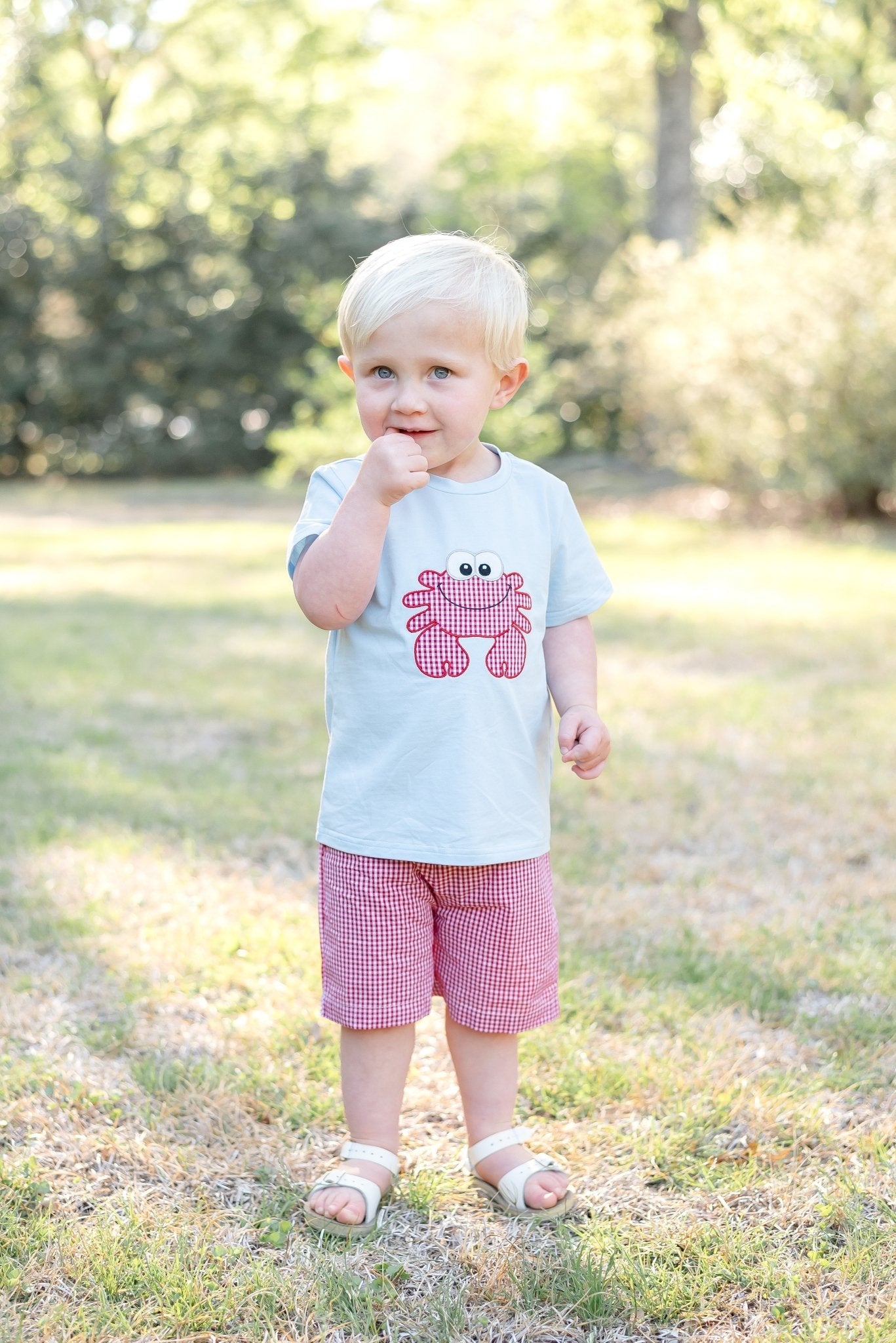 Blue Crab Shirt And Red Gingham Shorts Set