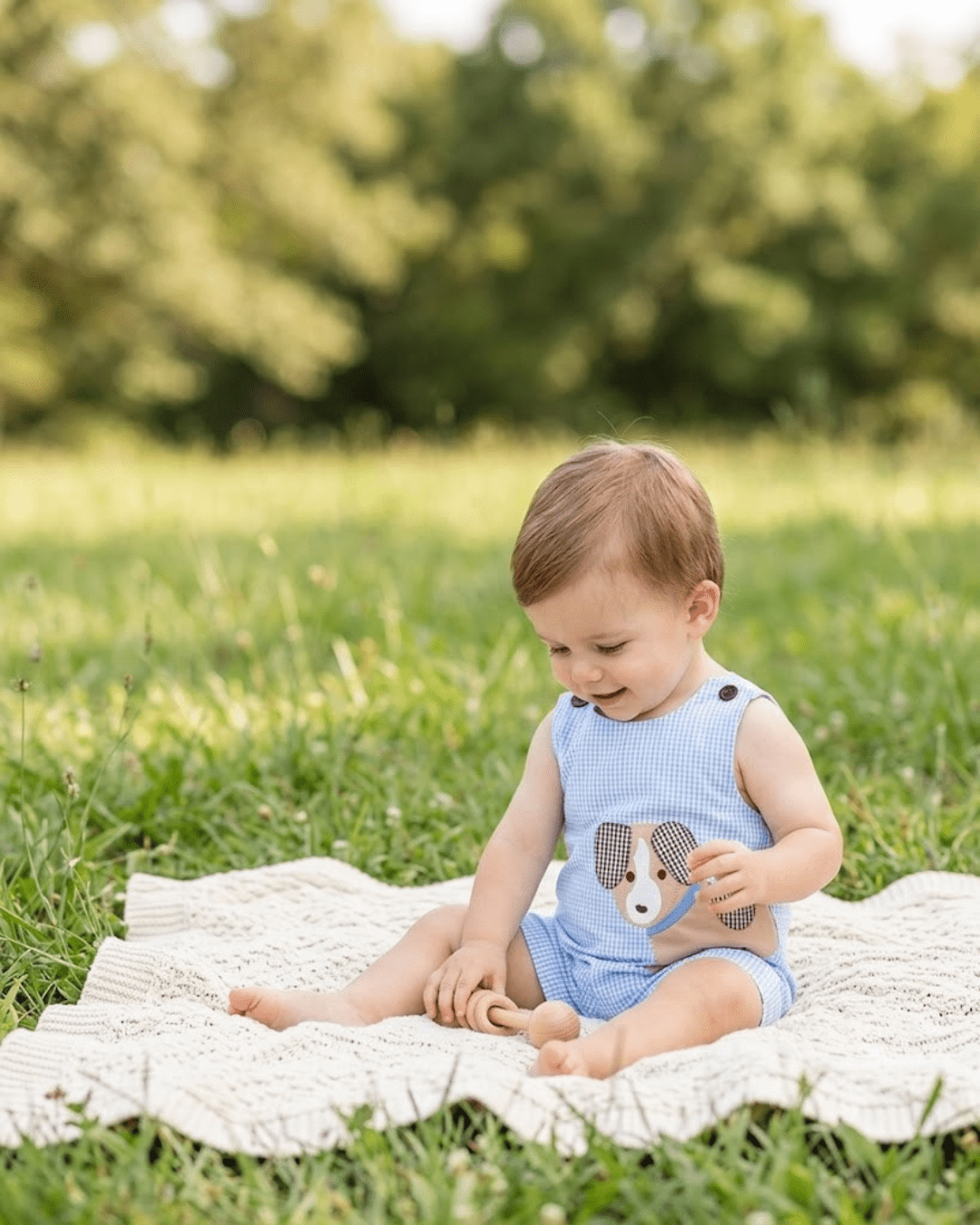 Blue Gingham Puppy Shortalls