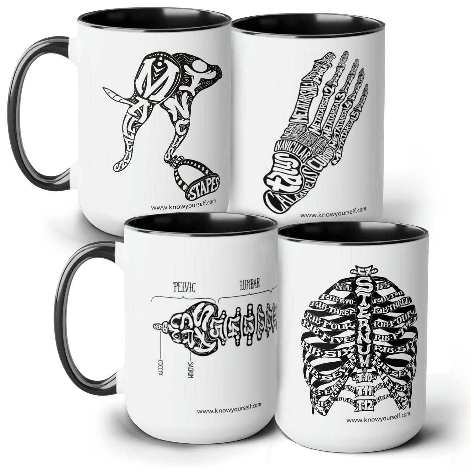 Anatomy Mug Set - Bones Of The Ear, Foot, Spine, And Ribs - Black
