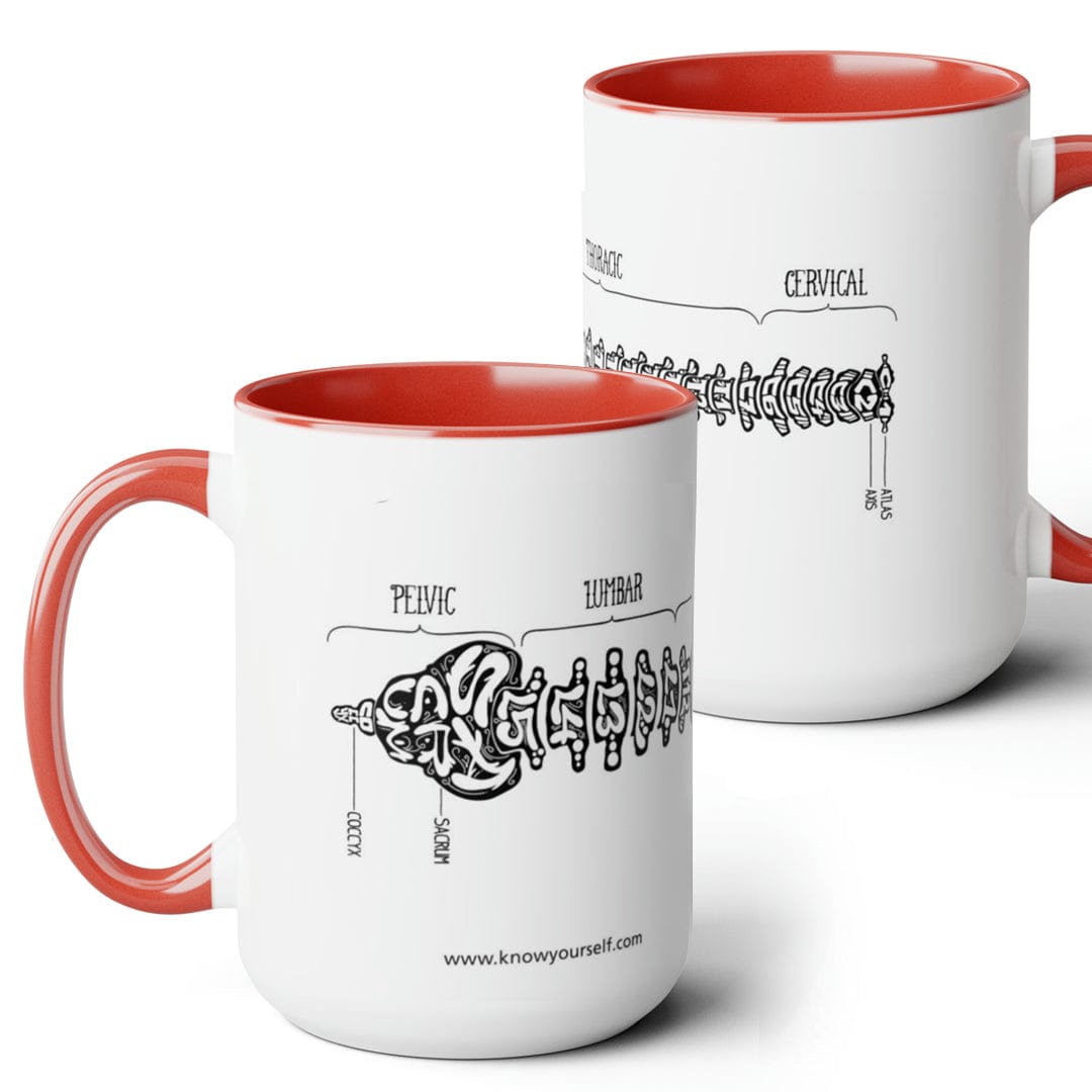 Anatomy Mug Set - Bones Of The Ear, Foot, Spine, And Ribs Red