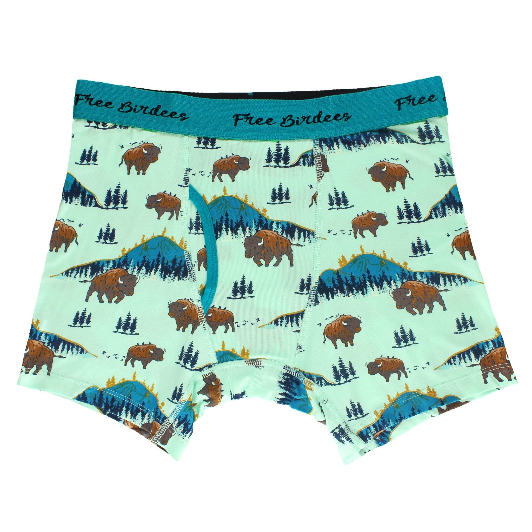 Born To Be Wild Bisons Men's Boxer Briefs