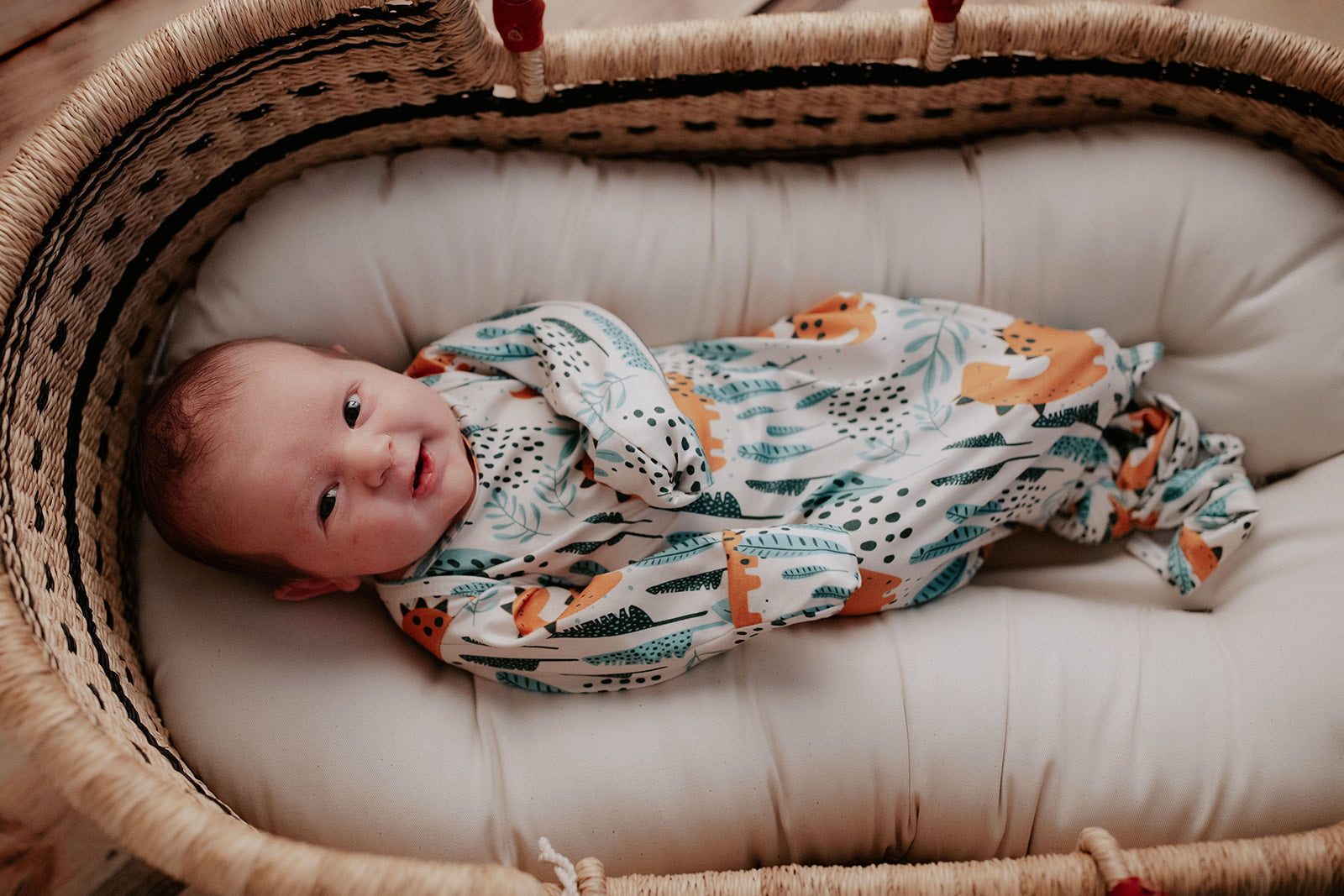 Dinosaur Themed Newborn Knotted Gown