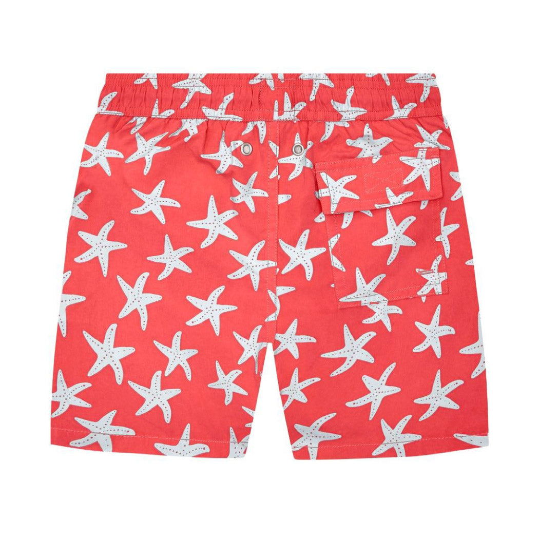 Rose & Blue Starfish