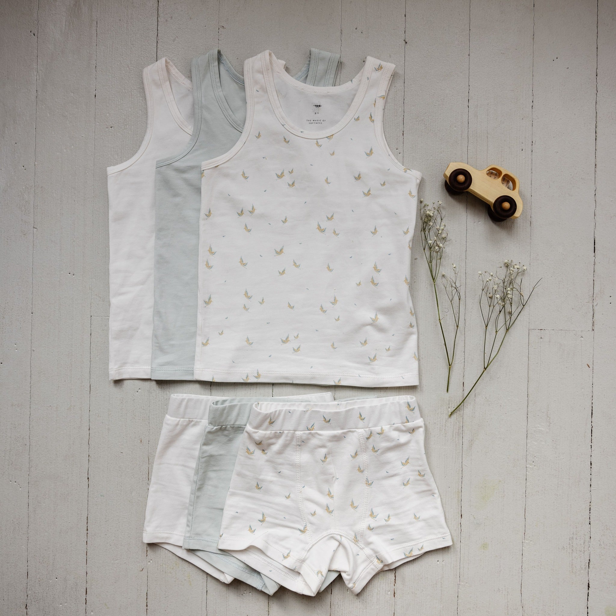 Boy's Undies Set-shorts