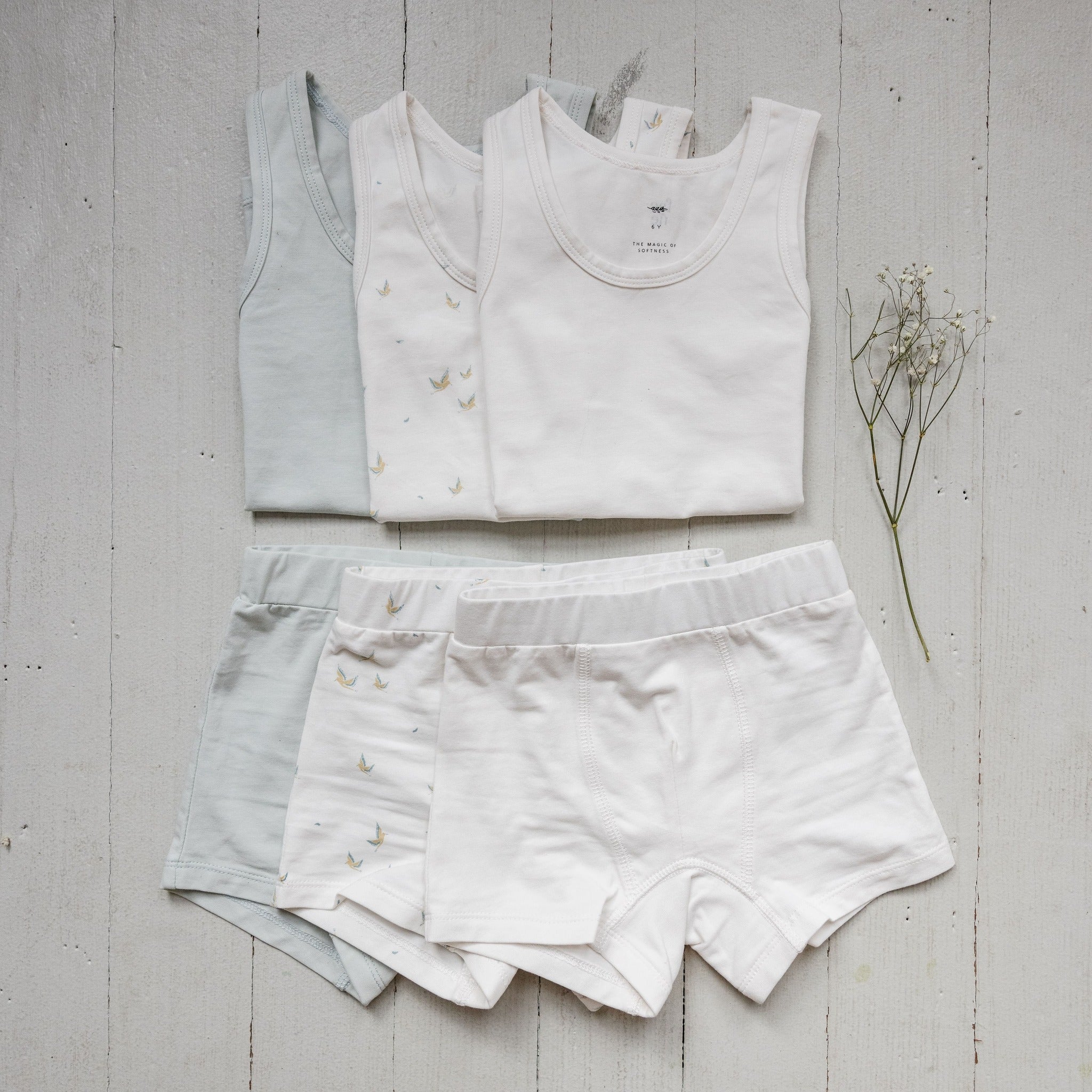 Boy's Undies Set-shorts