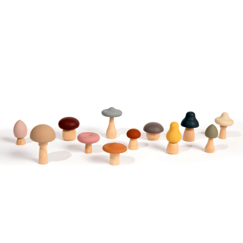 Wood + Silicone Mushroom Sorting Set