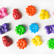 Bugs & Flowers Crayon Set (4 Pack)