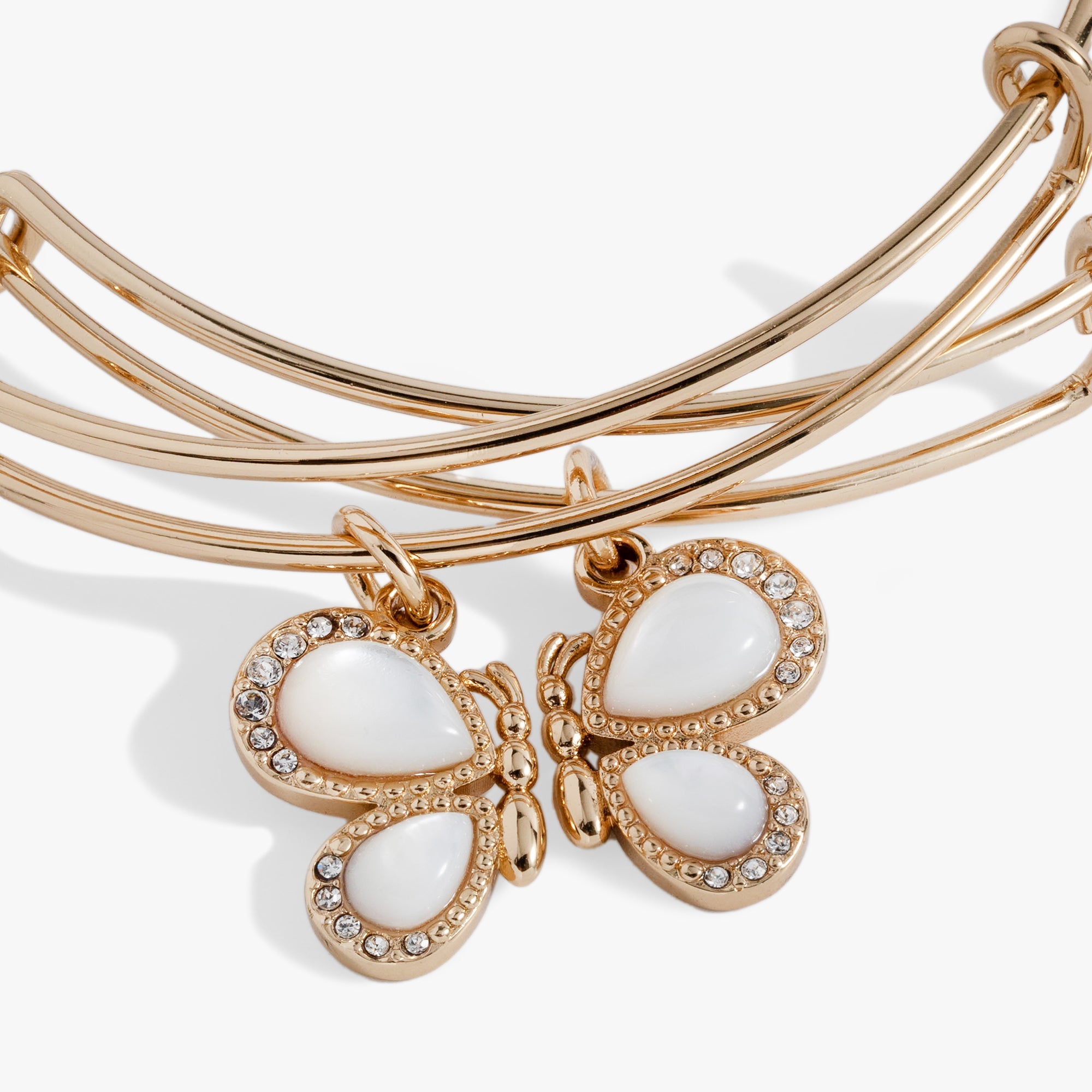 Perfect Pairs- Butterfly Wings Bangle Set Of 2