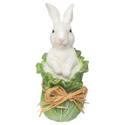 Easter Bunny In Cabbage