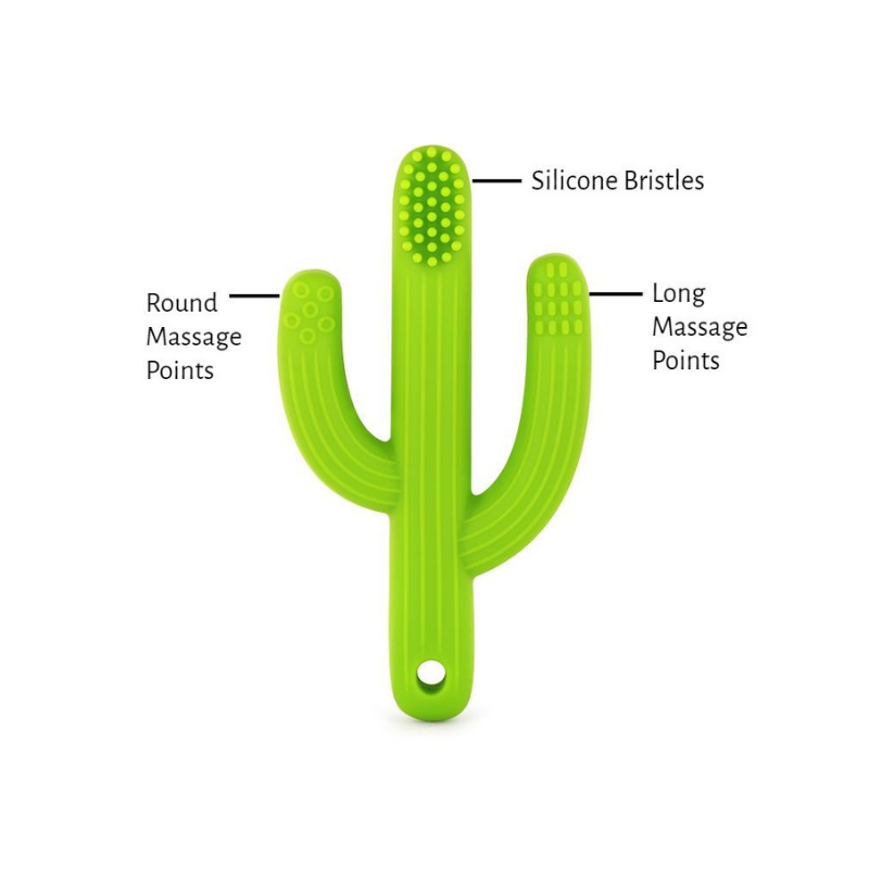 Cactus Silicone Toothbrush Teether