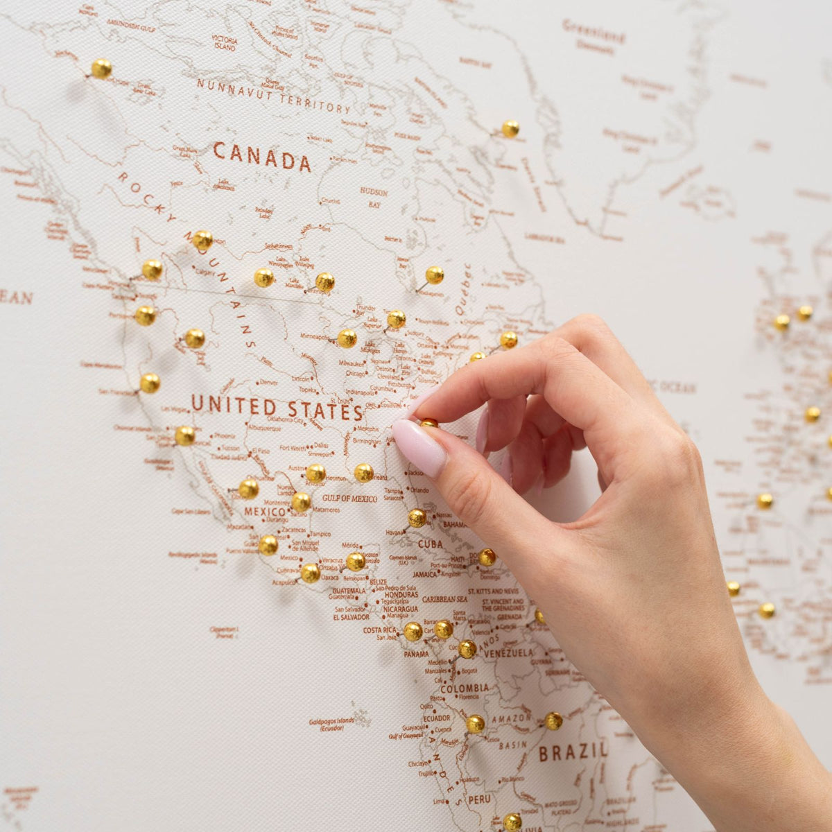 World Map On Canvas - Beige