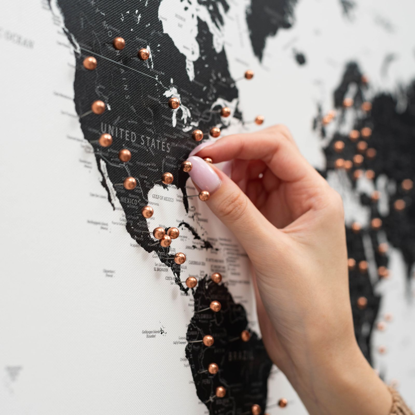 World Map On Canvas - Onyx