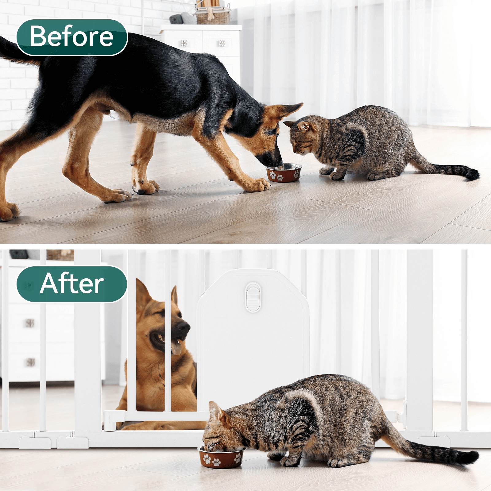 Catprivilege A7 | Adjustable Safety Gate With Lockable Pet Door