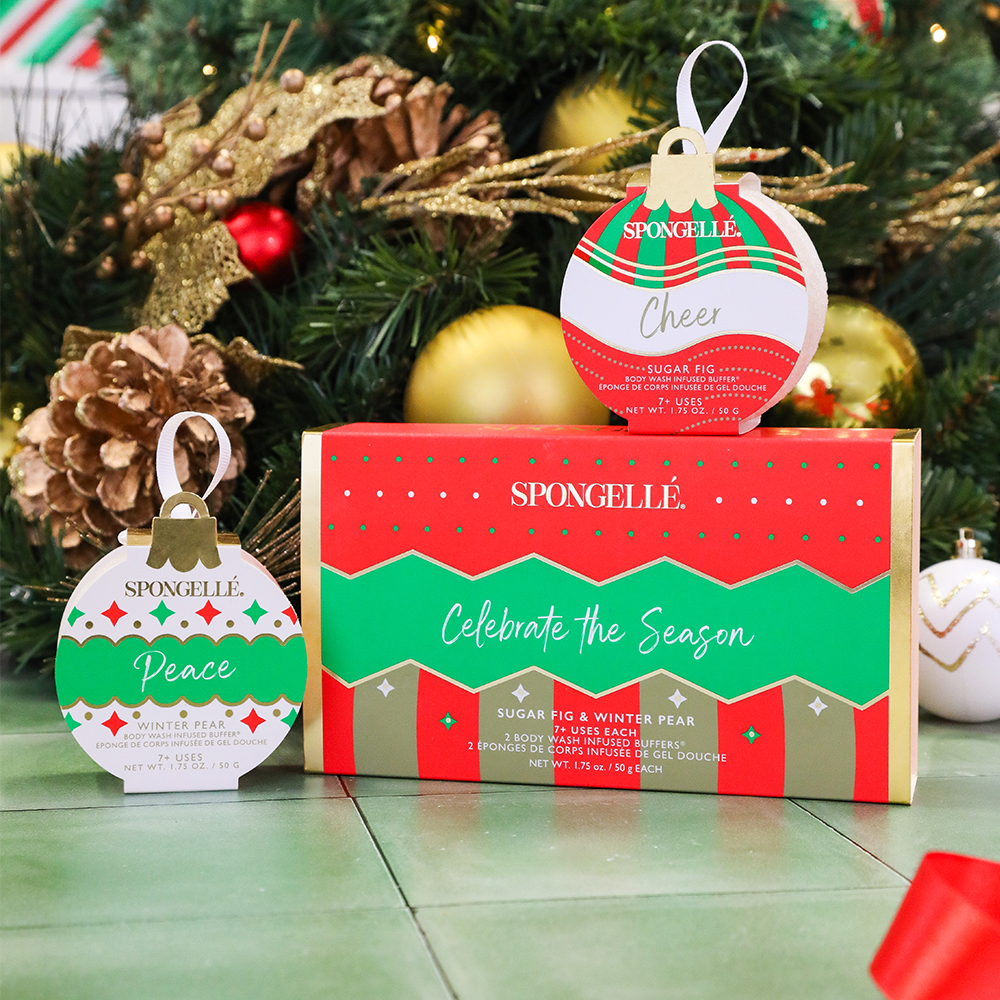 Celebrate The Season | Holiday Ornament Gift Set