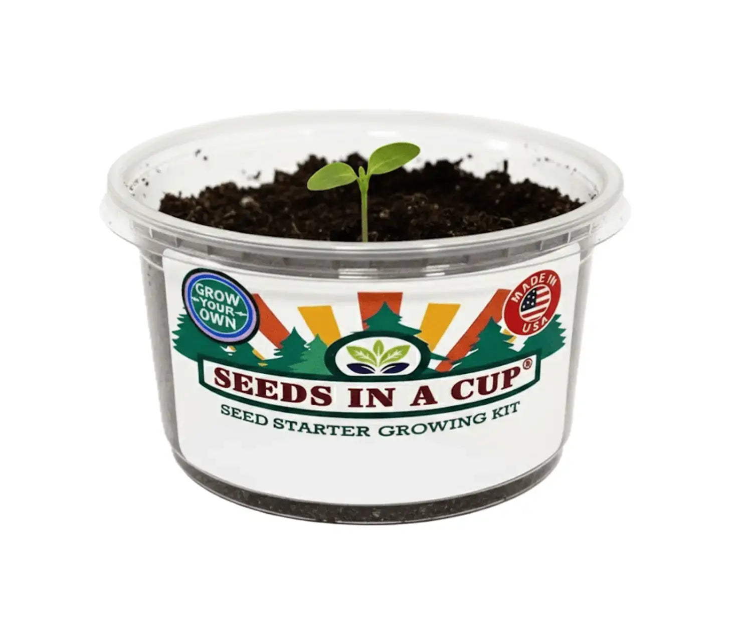 Chives | Plant Seed Grow Kit |