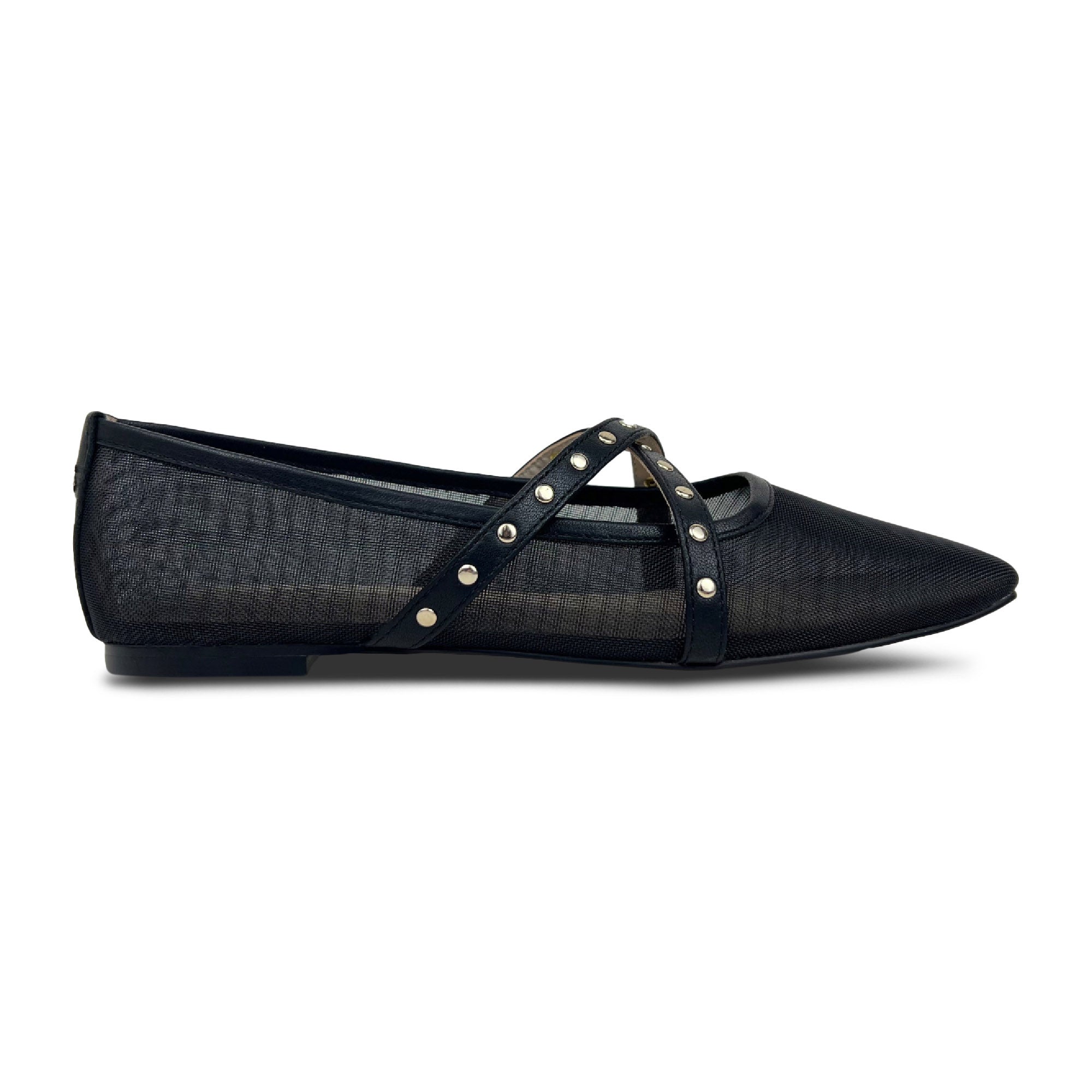 Chloe Ballet Flat In Black Mesh