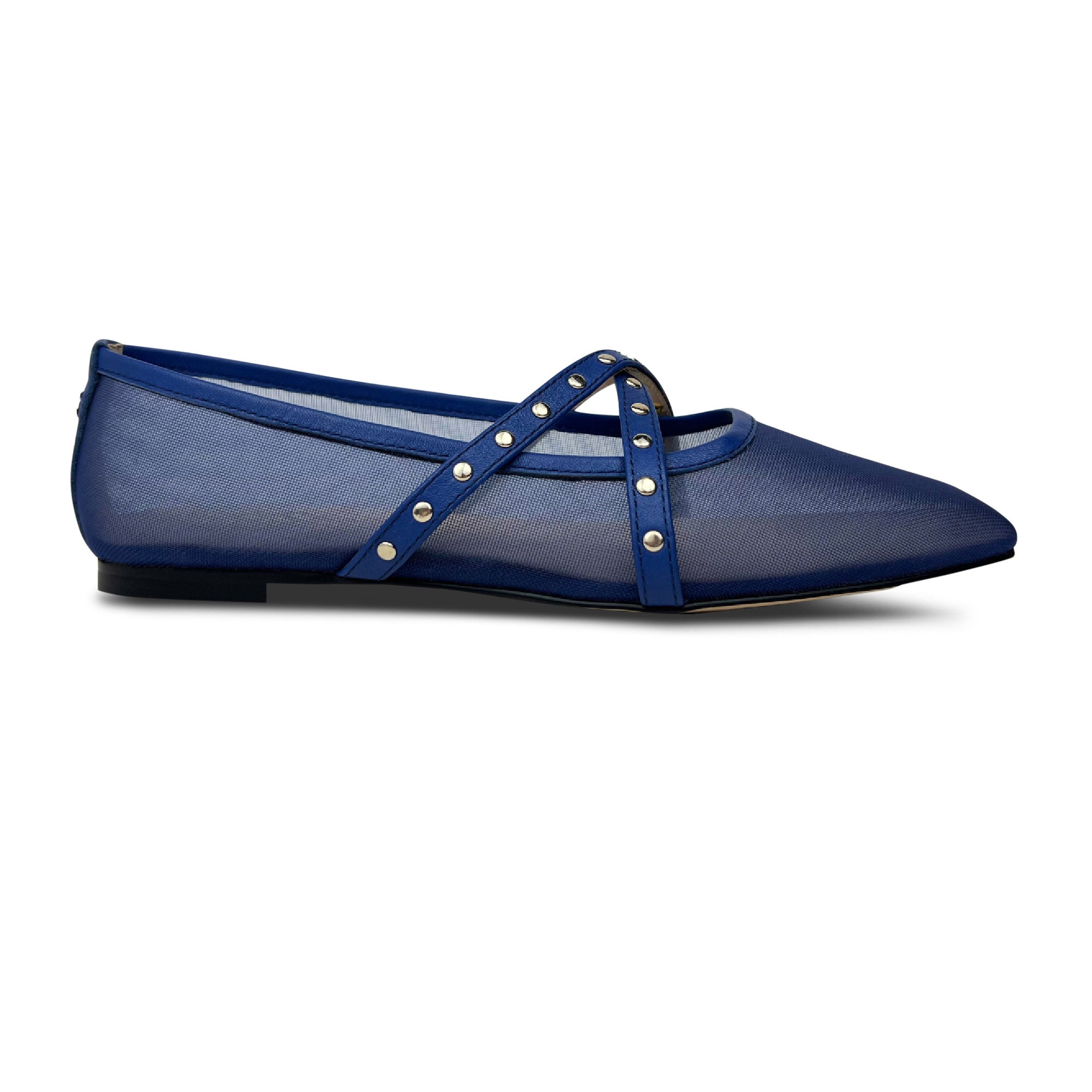 Chloe Ballet Flat In Blue Mesh