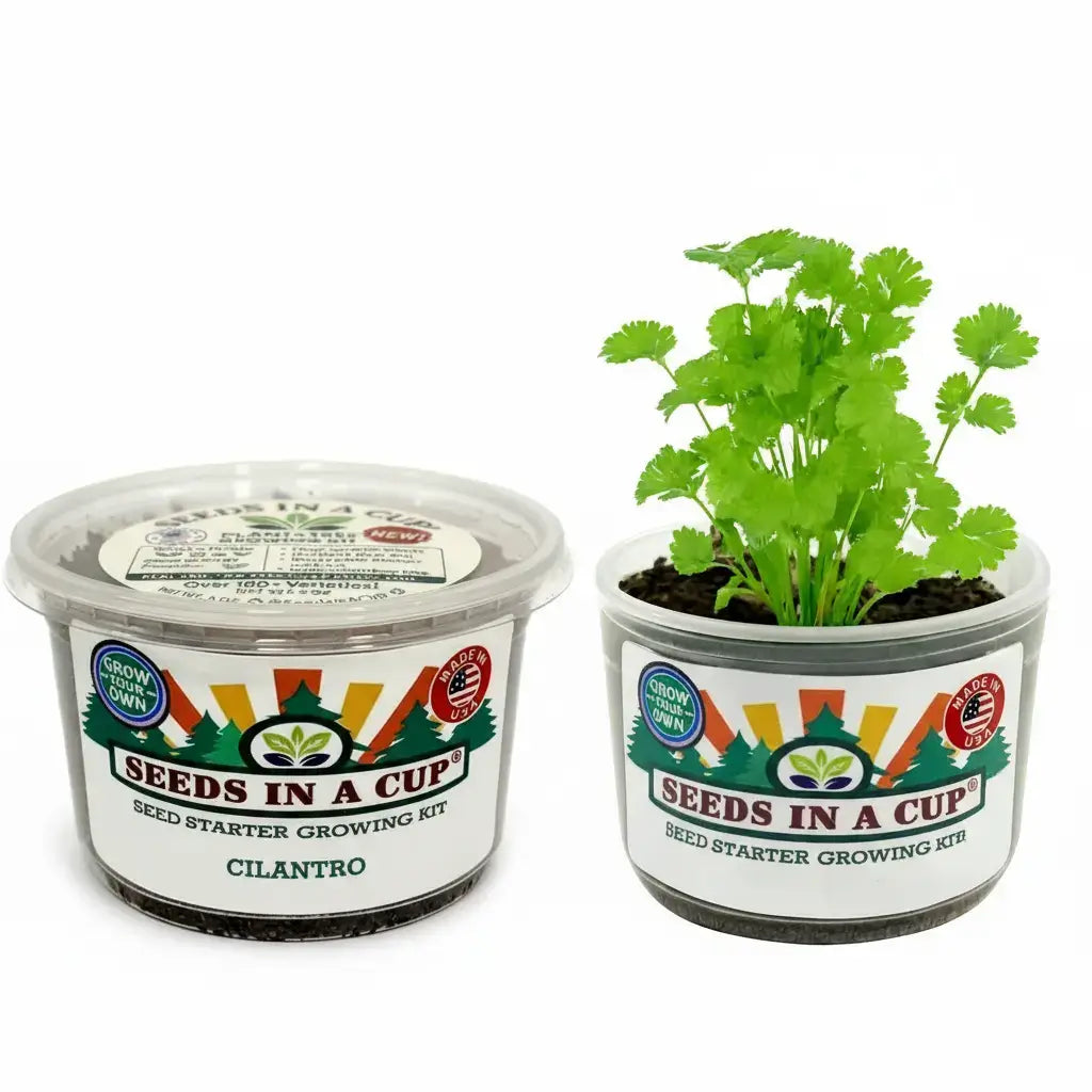 Cilantro | Plant Seed Starter Grow Kit |