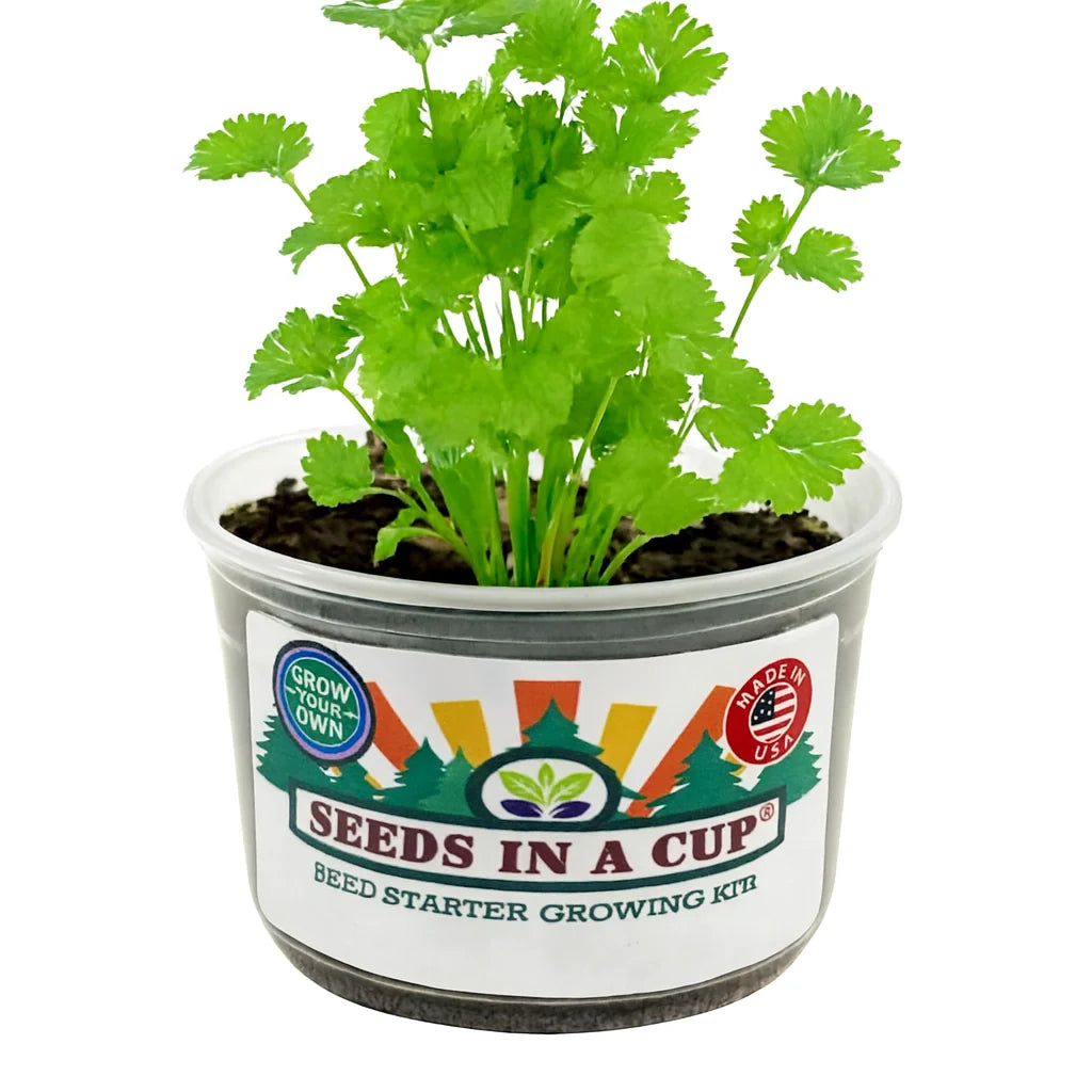 Cilantro | Plant Seed Starter Grow Kit |