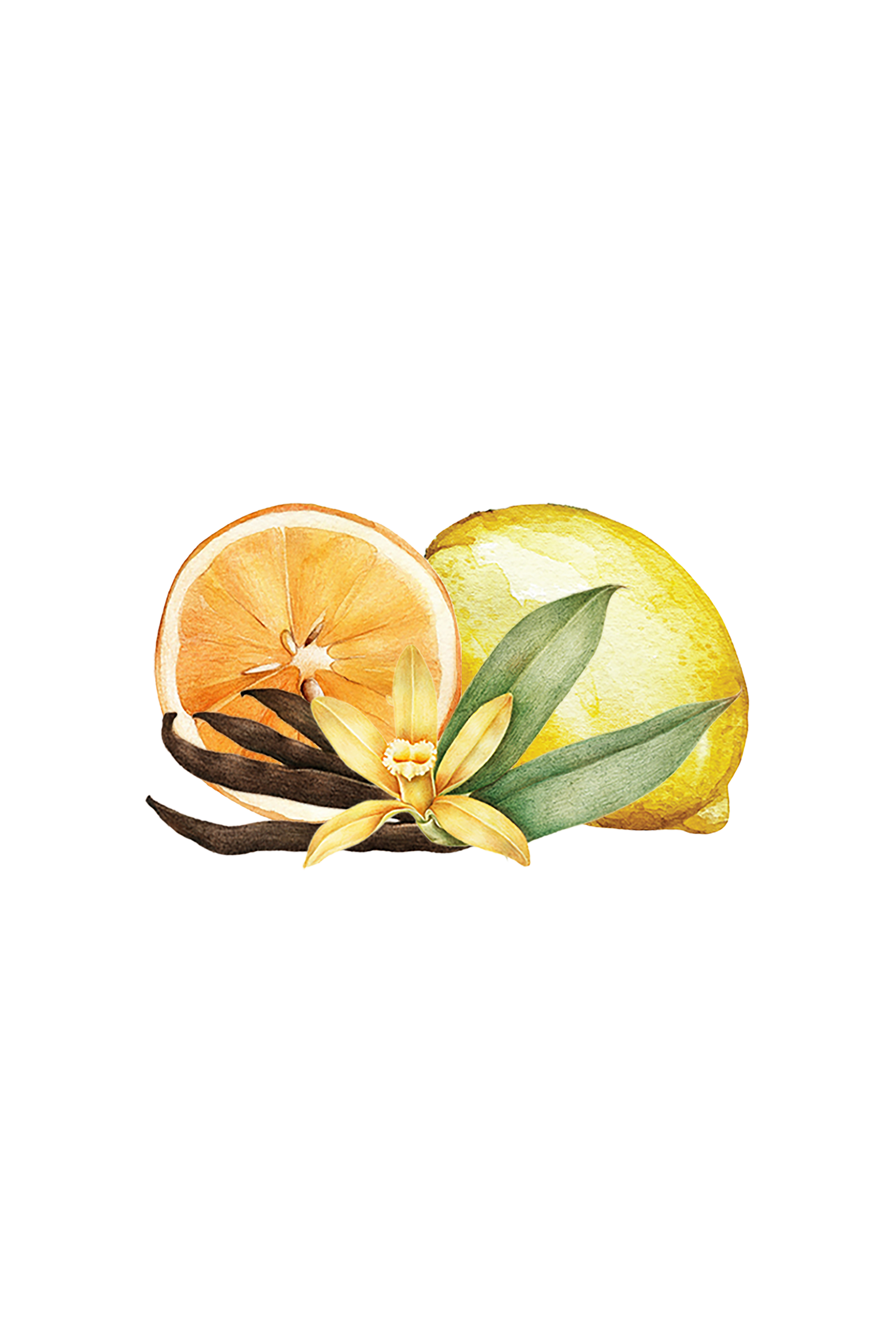 Citrus & Vanilla Eo / Fo Blend