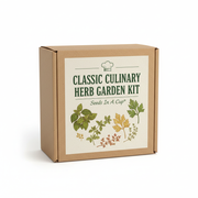 Classic Culinary Herb Garden Kit | Basil, Oregano, Parsley & Thyme |