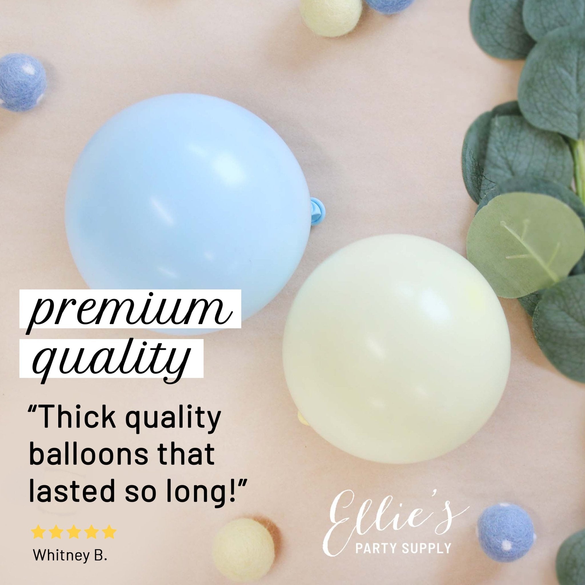 Pastel Blue & Yellow Balloon Garland Kit