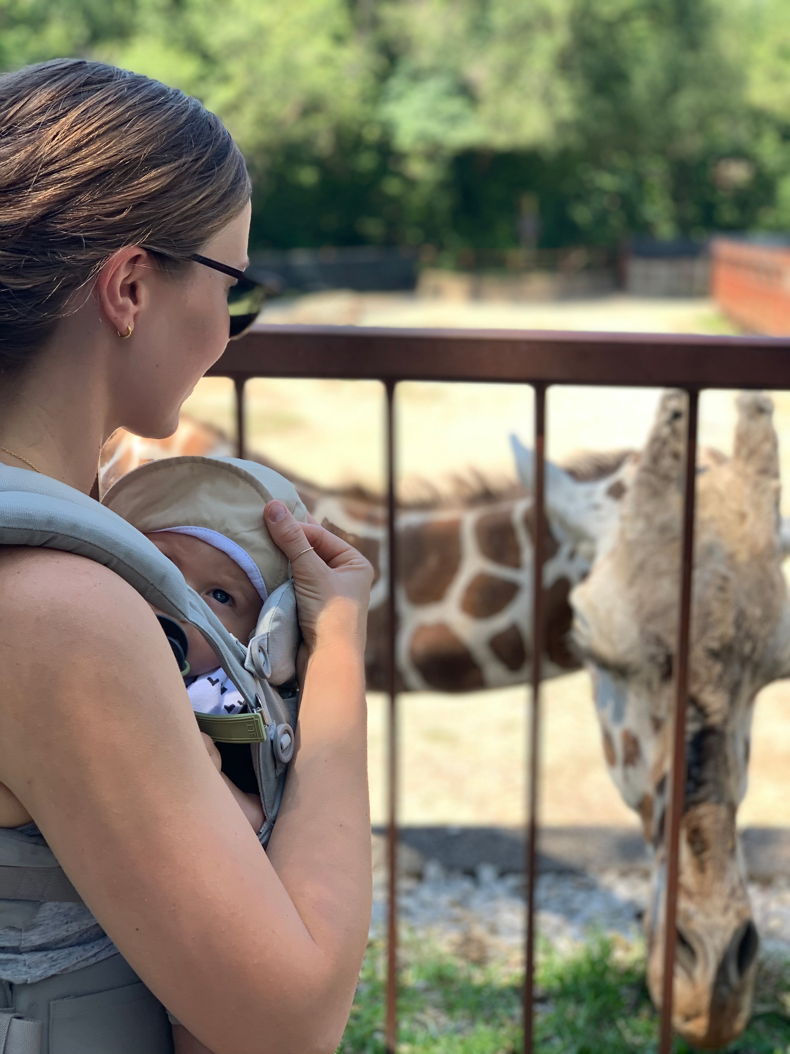 Classic Olive Green All Silicone One Piece Pacifier Clip