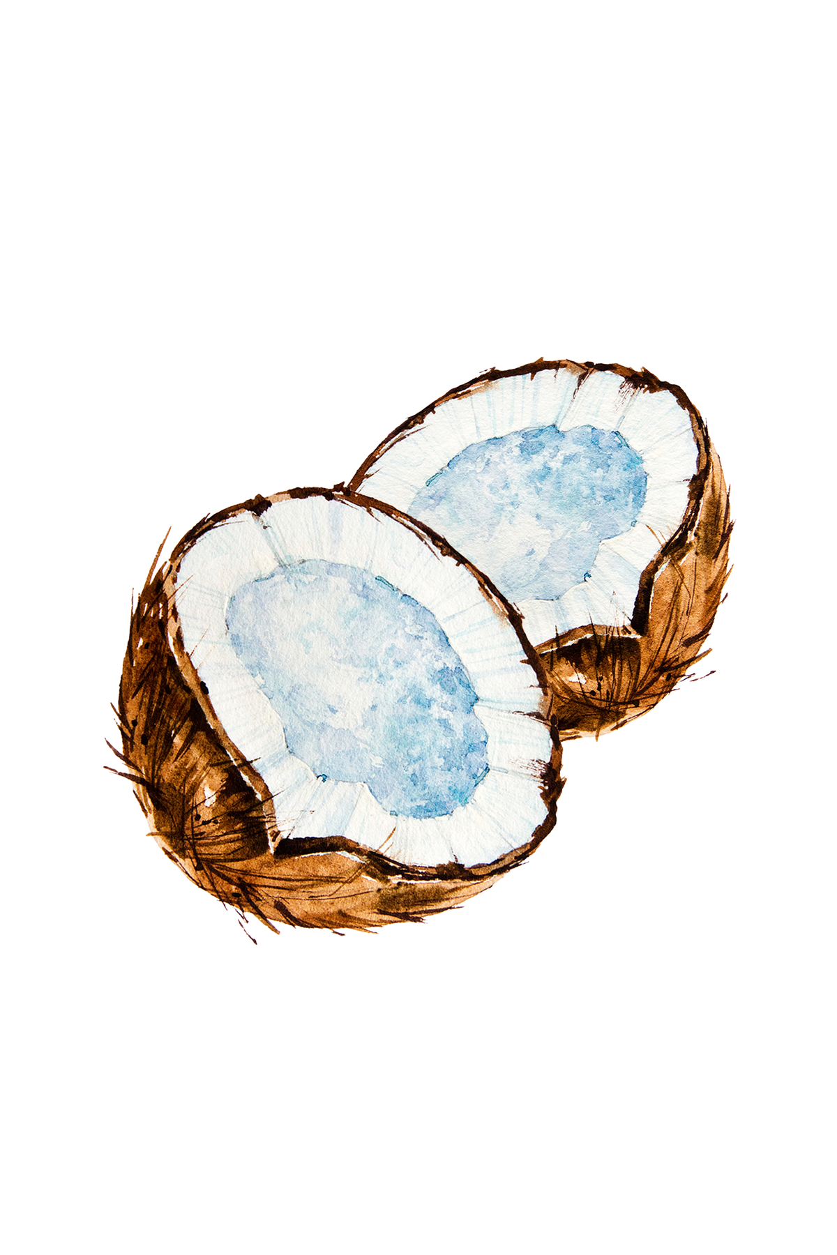 Coconut Phthalate-free Fragrance Oil