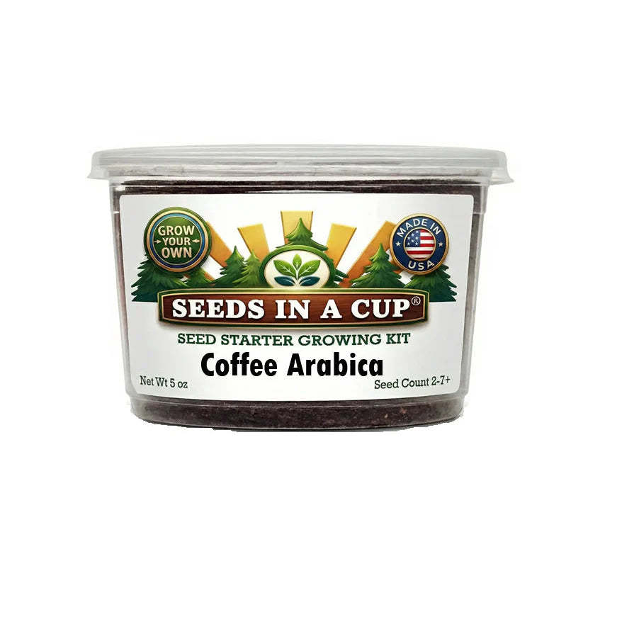 Coffee Arabica Tree | Seed Starter Grow Kit |