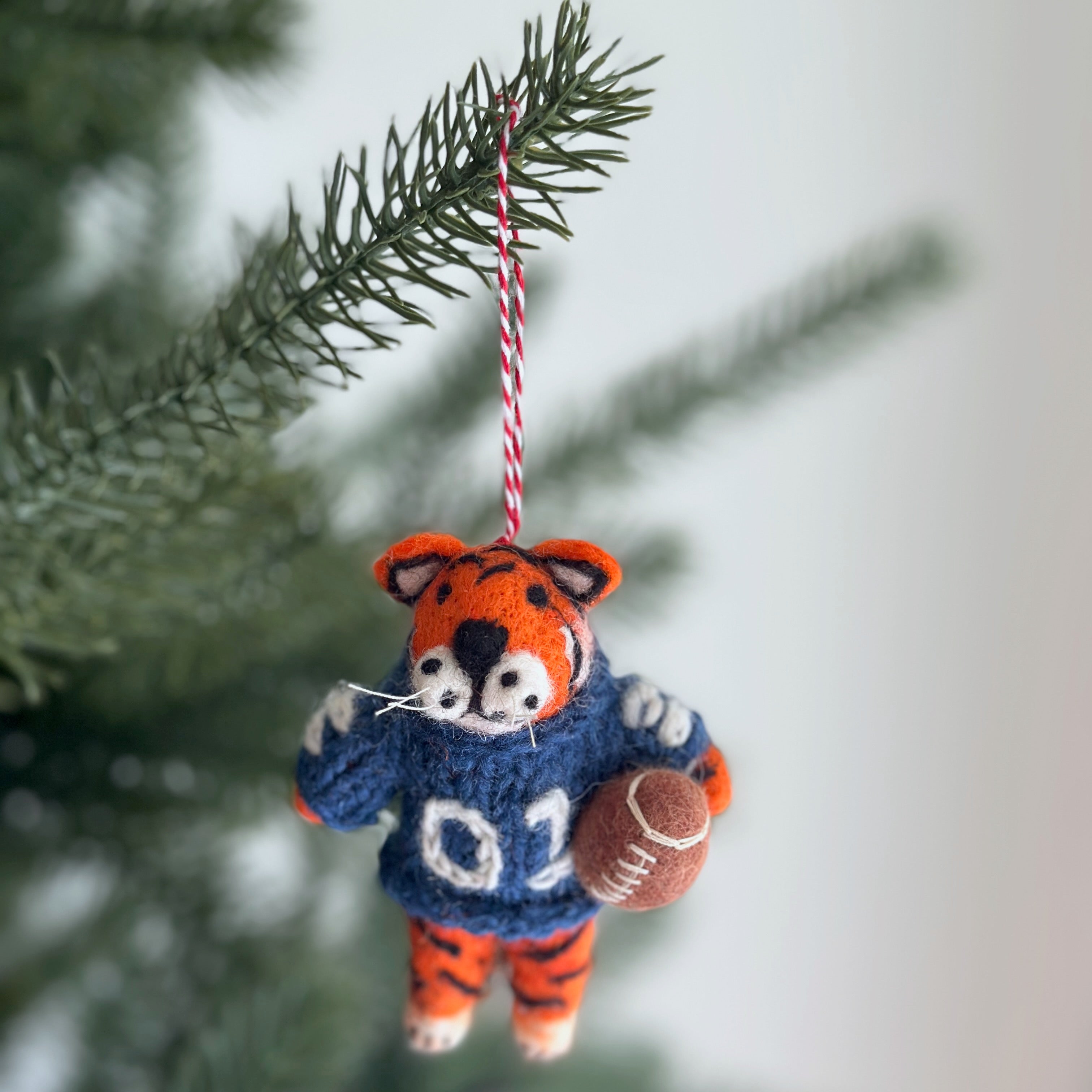 College Football Collection - Auburn Tiger