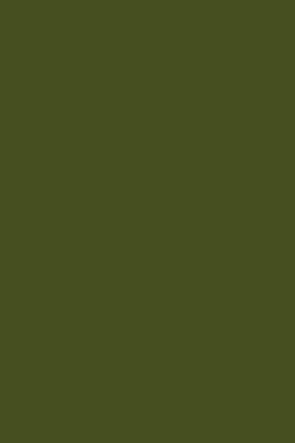 The Kit In Olive