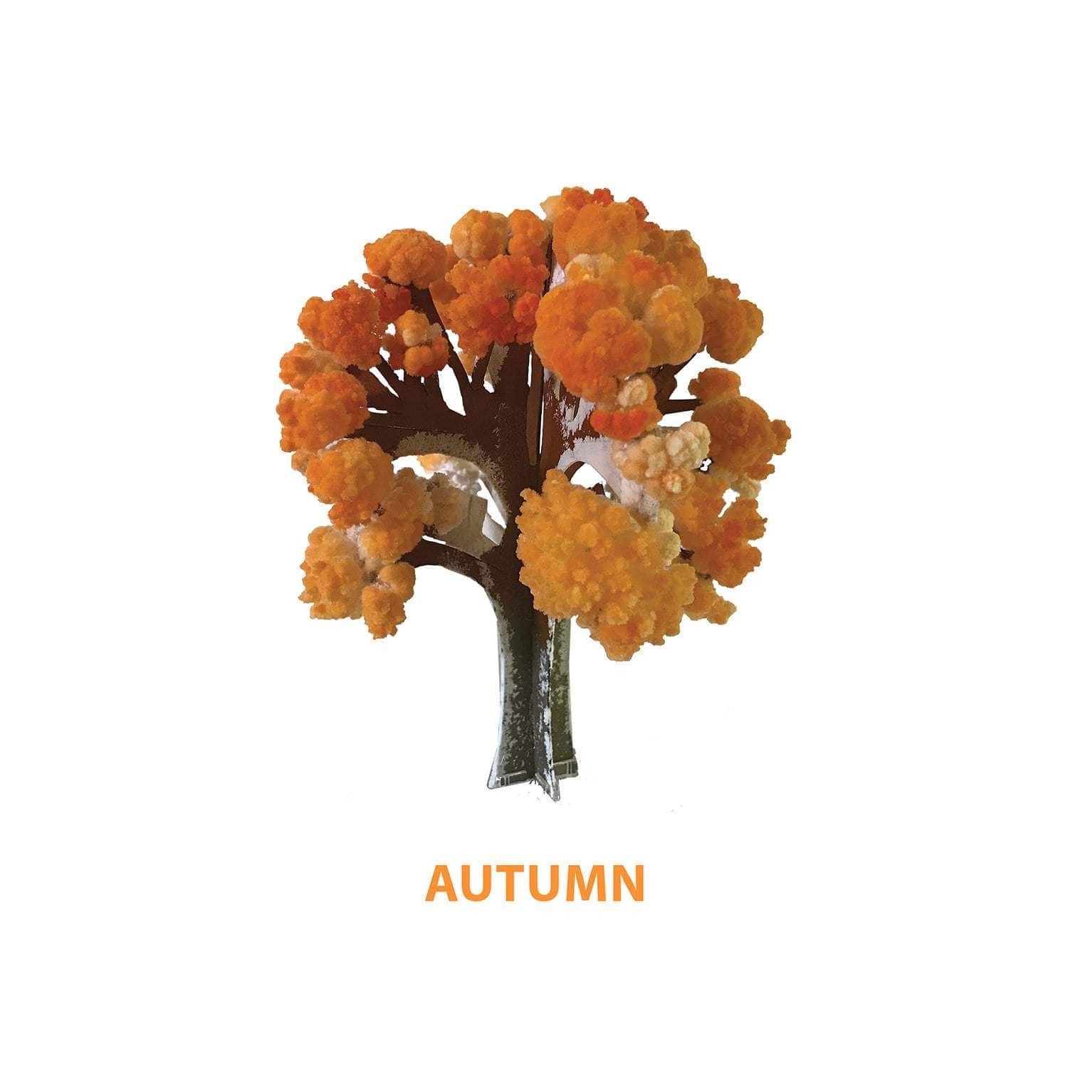 Crystal Growing Seasons Kit