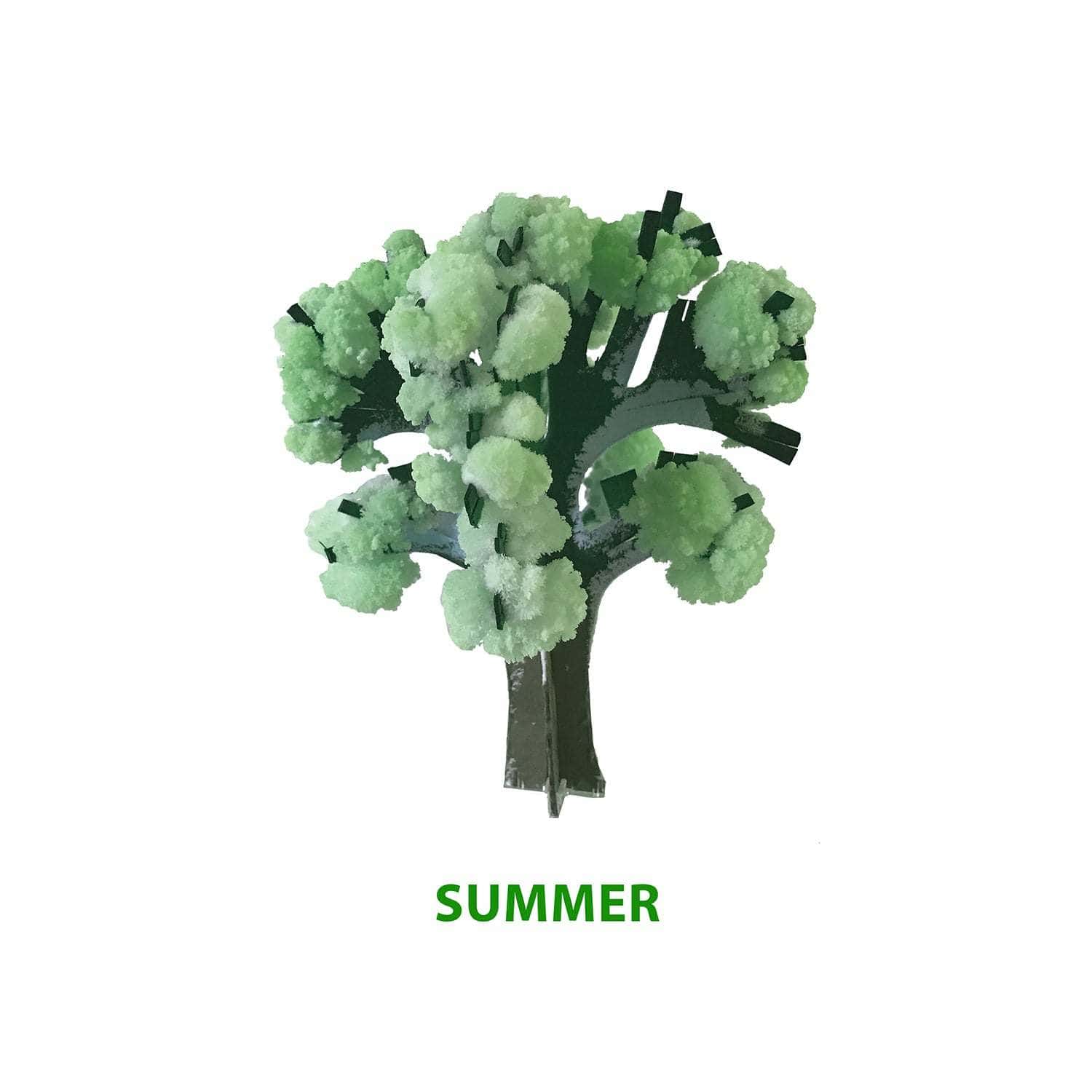 Crystal Growing Seasons Kit