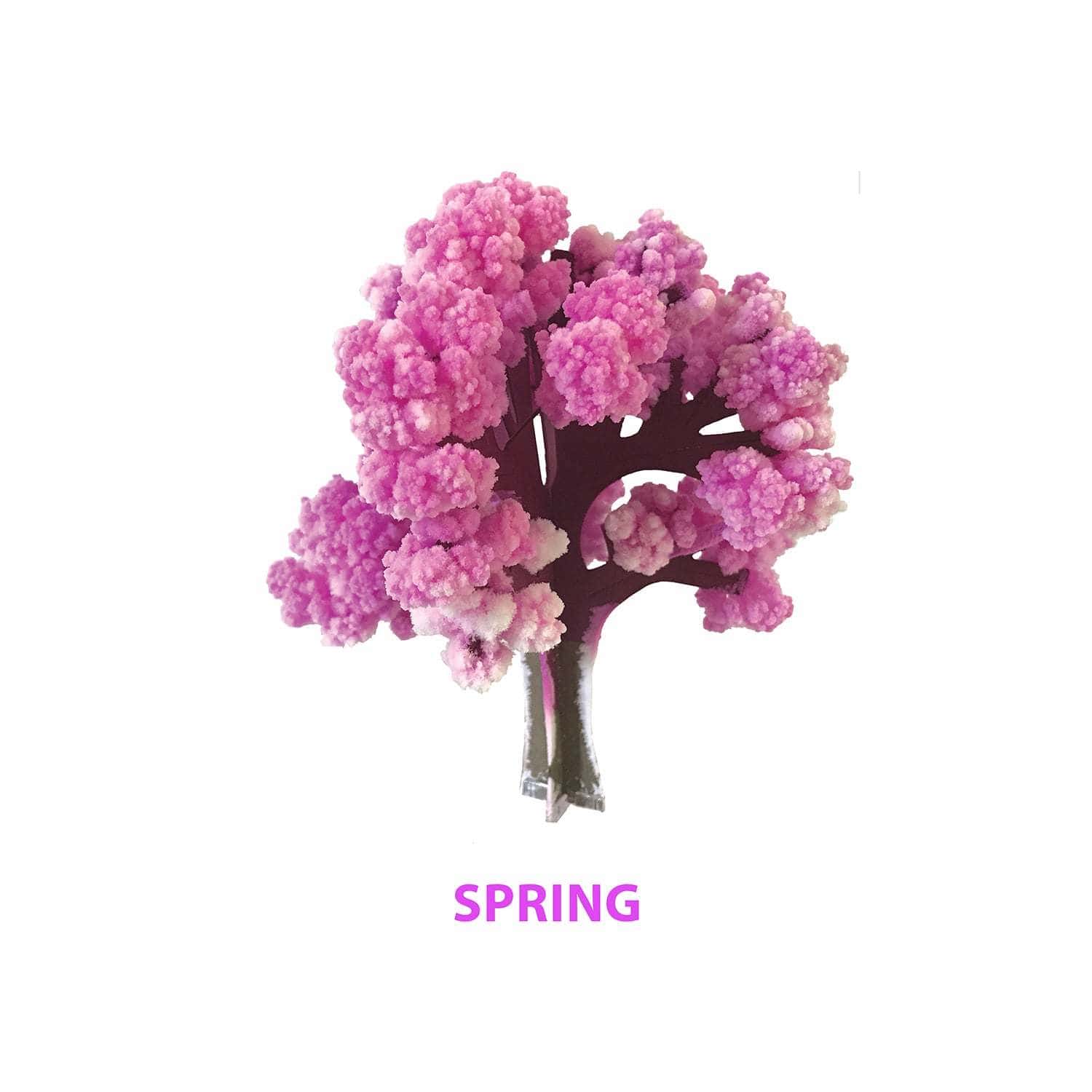 Crystal Growing Seasons Kit