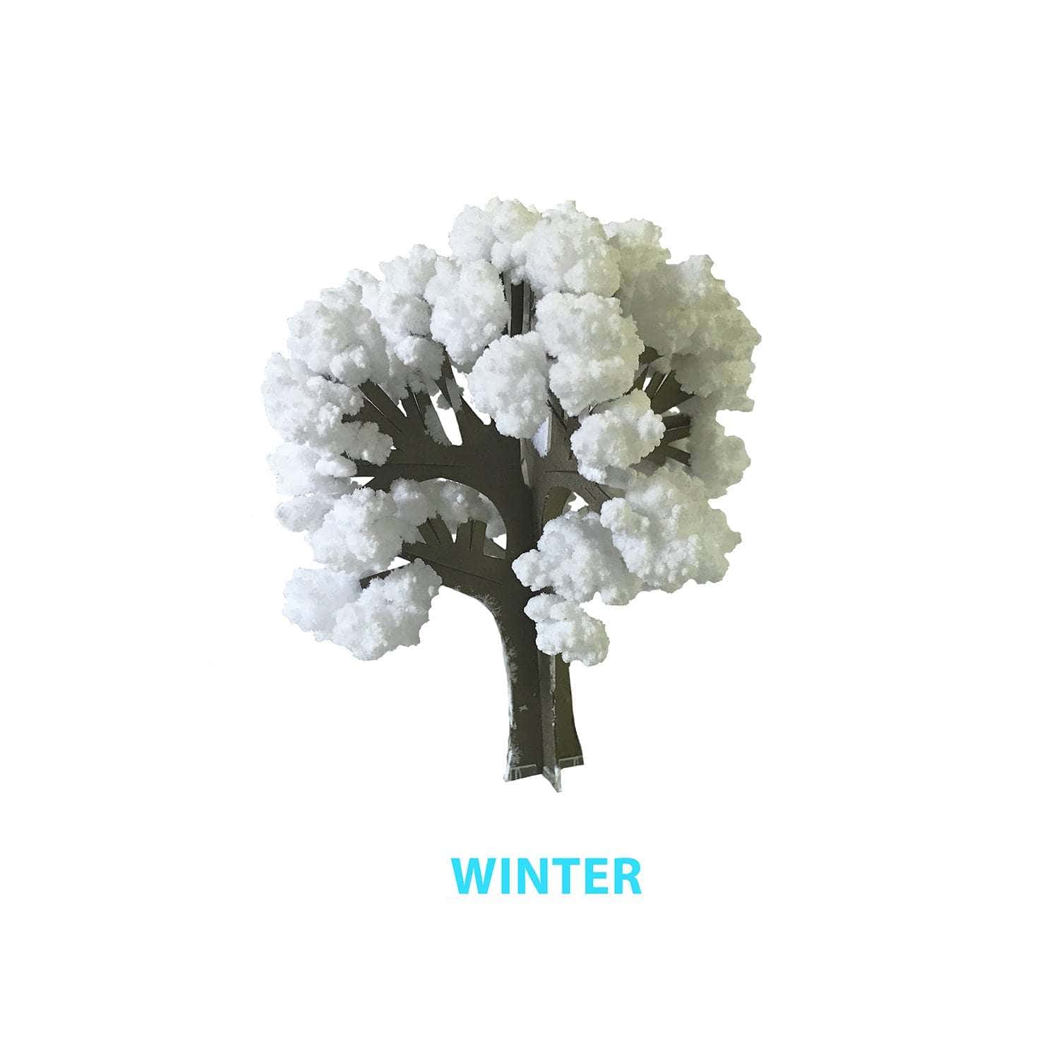 Crystal Growing Seasons Kit