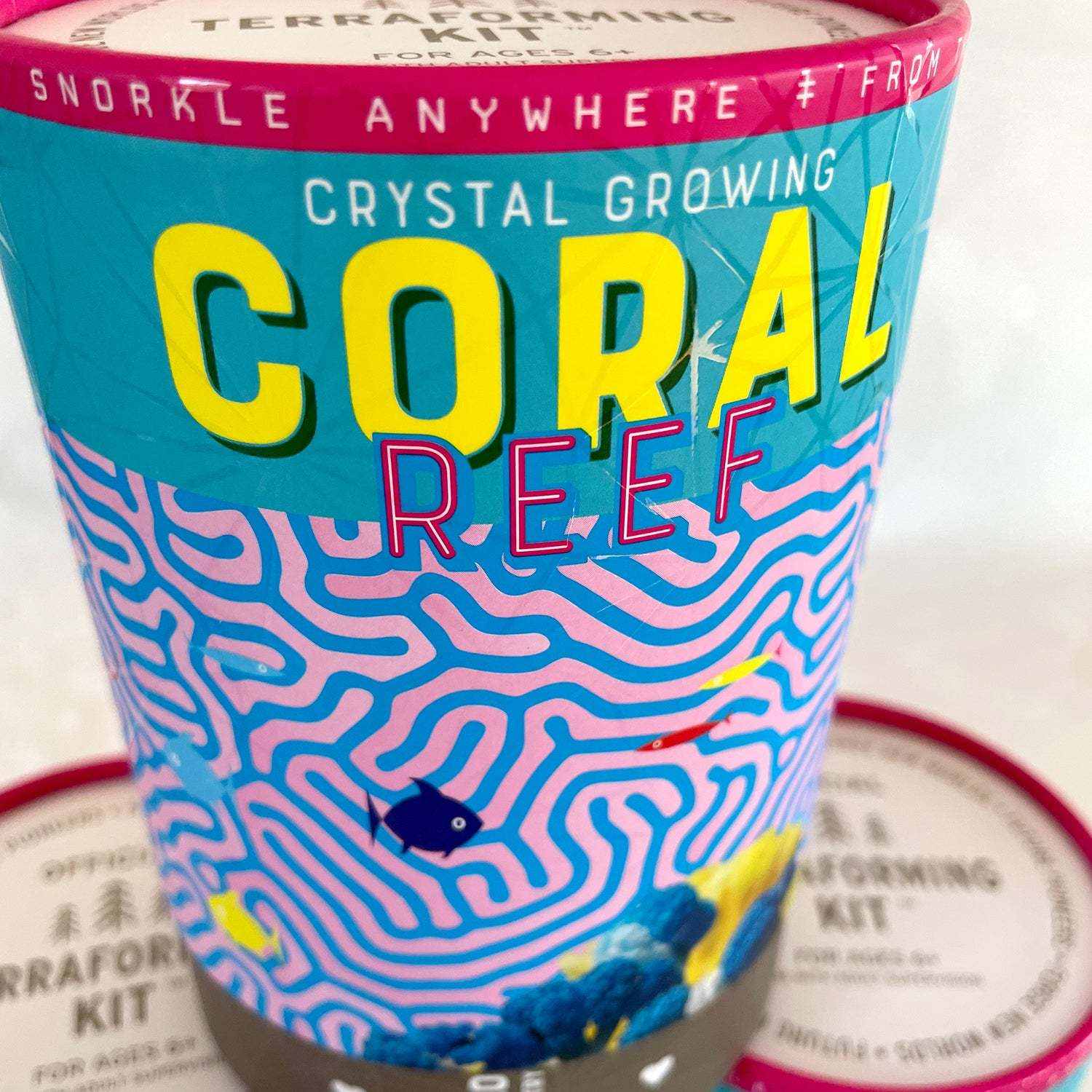 Crystal Growing Coral Reef