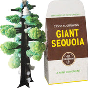 Crystal Growing: Giant Sequoia