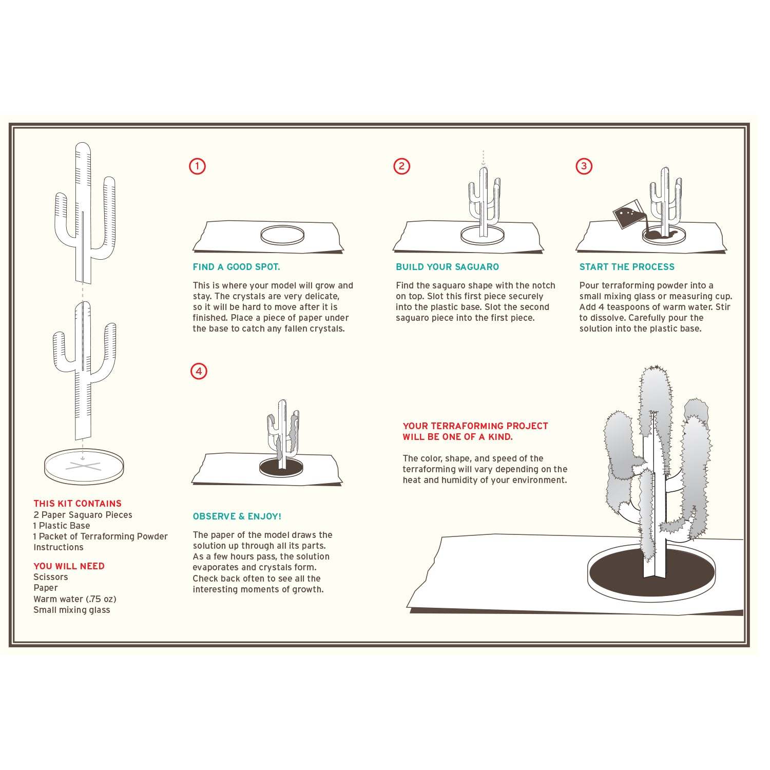 Crystal Growing: Saguaro Cactus
