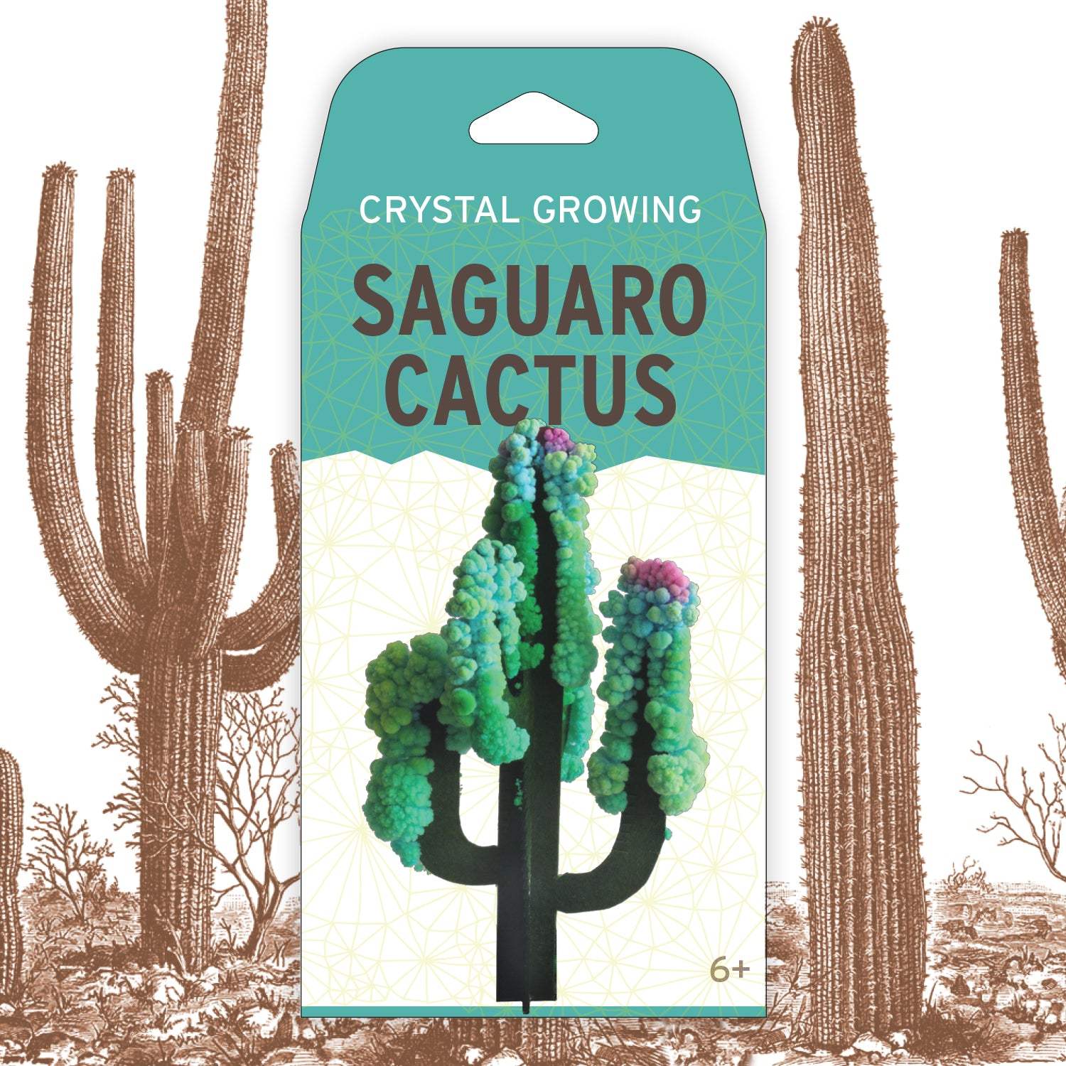 Crystal Growing: Saguaro Cactus