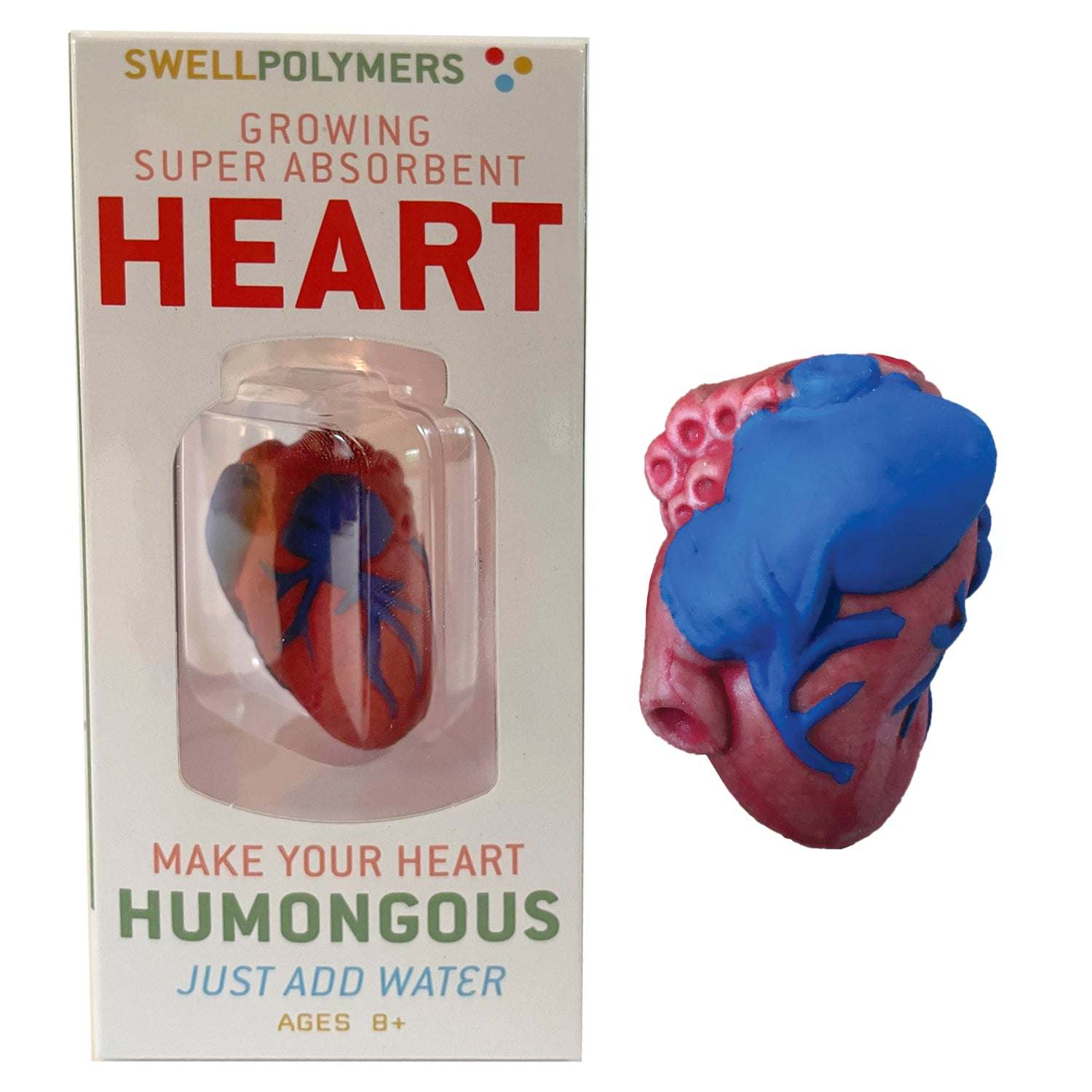 Growing Super Absorbent Heart | Grow A Big Heart | Just Add To Water