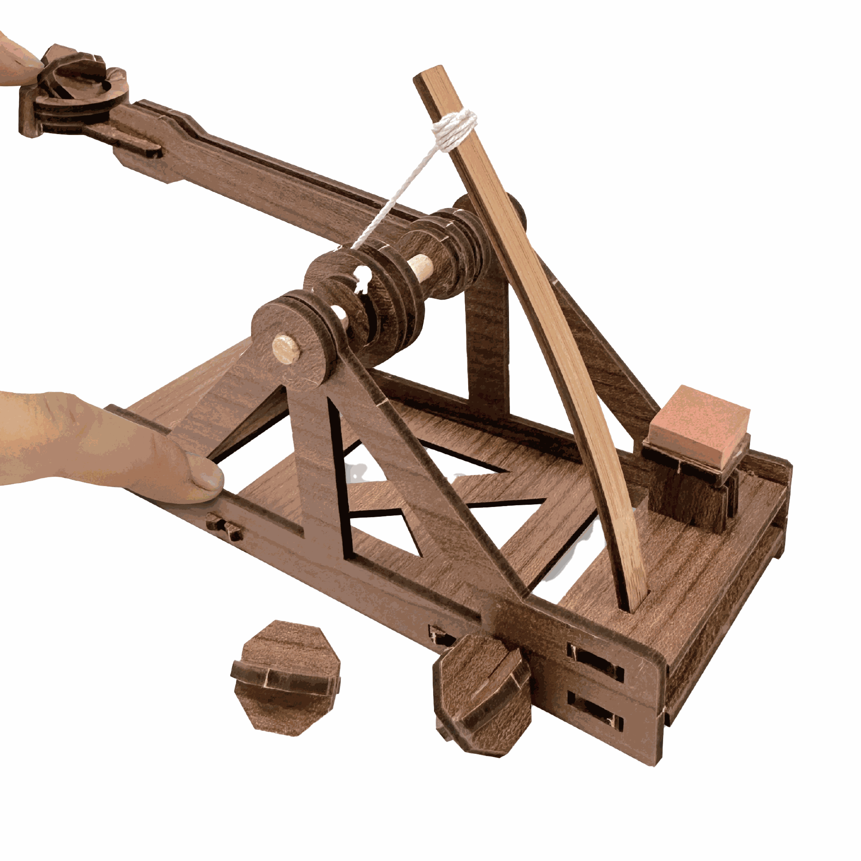 Mini Catapult : Siege Engine Engineering Kit