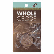 Whole Geode - A Rock With A Secret