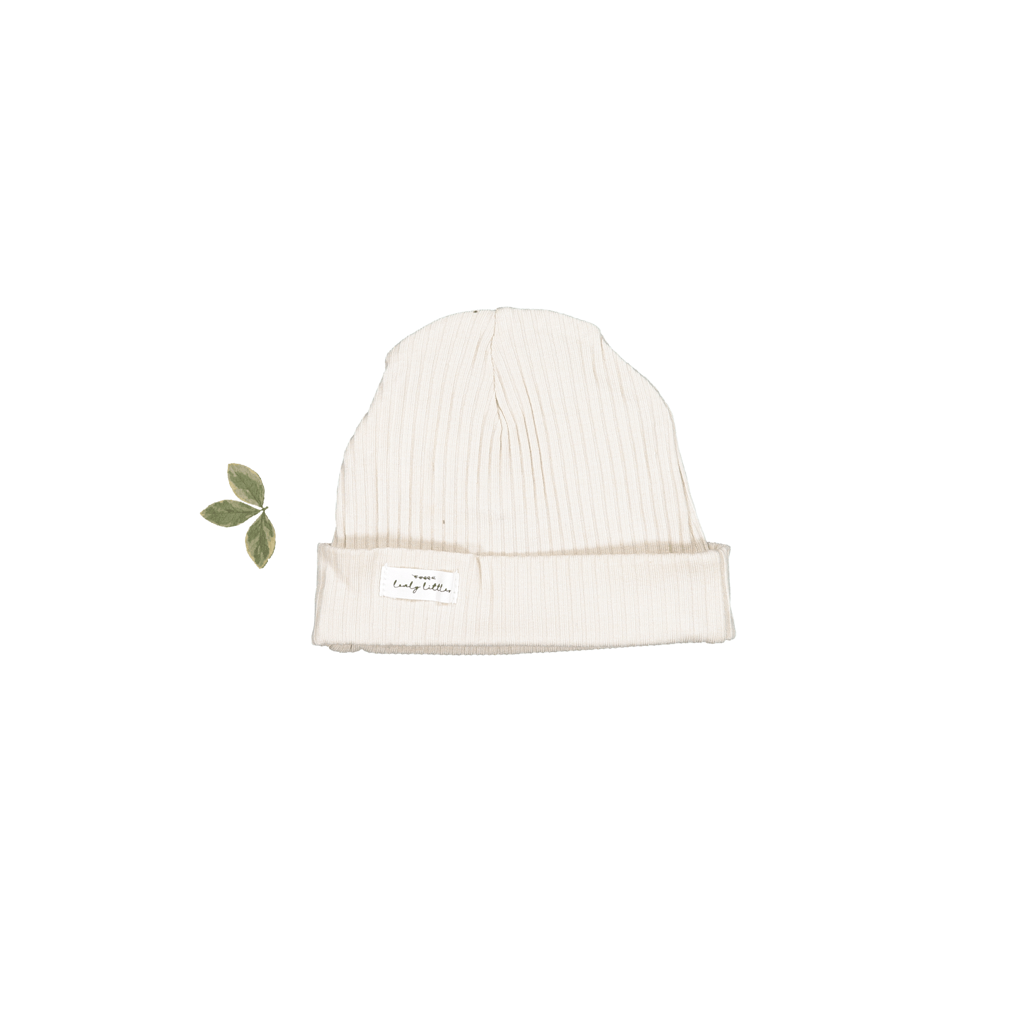 The Hat - Cream